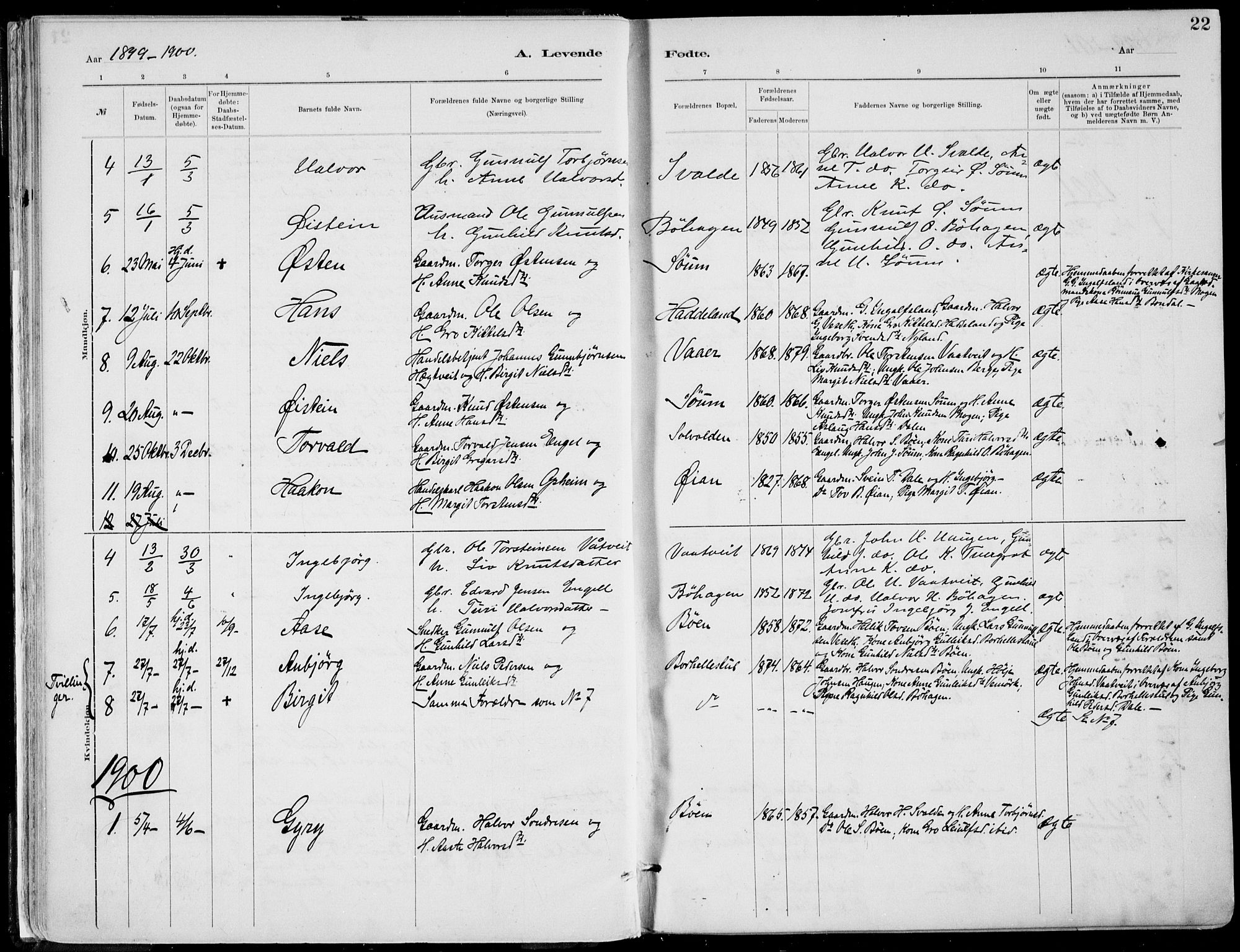 Rjukan kirkebøker, SAKO/A-294/F/Fa/L0001: Parish register (official) no. 1, 1878-1912, p. 22