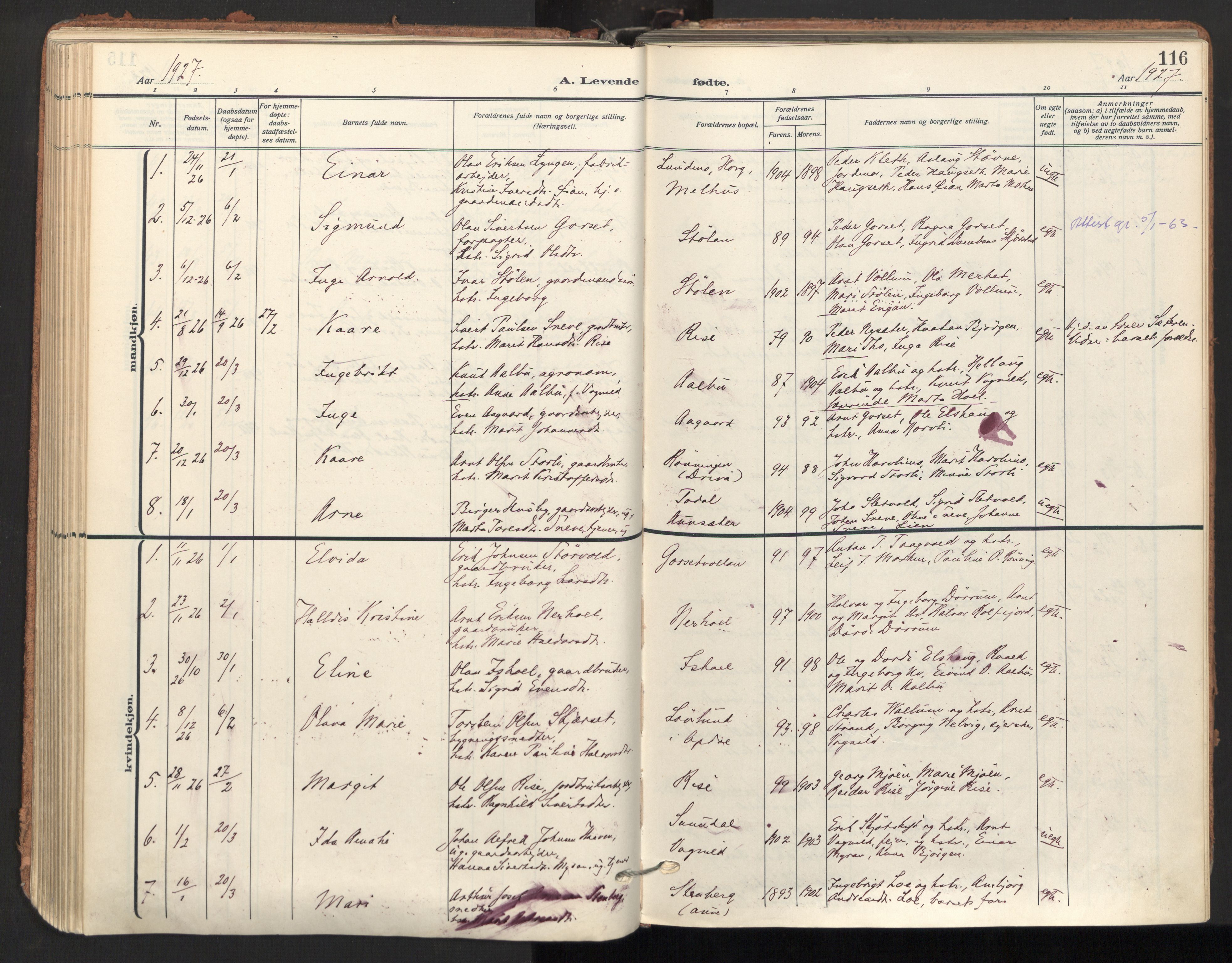 Ministerialprotokoller, klokkerbøker og fødselsregistre - Sør-Trøndelag, SAT/A-1456/678/L0909: Parish register (official) no. 678A17, 1912-1930, p. 116