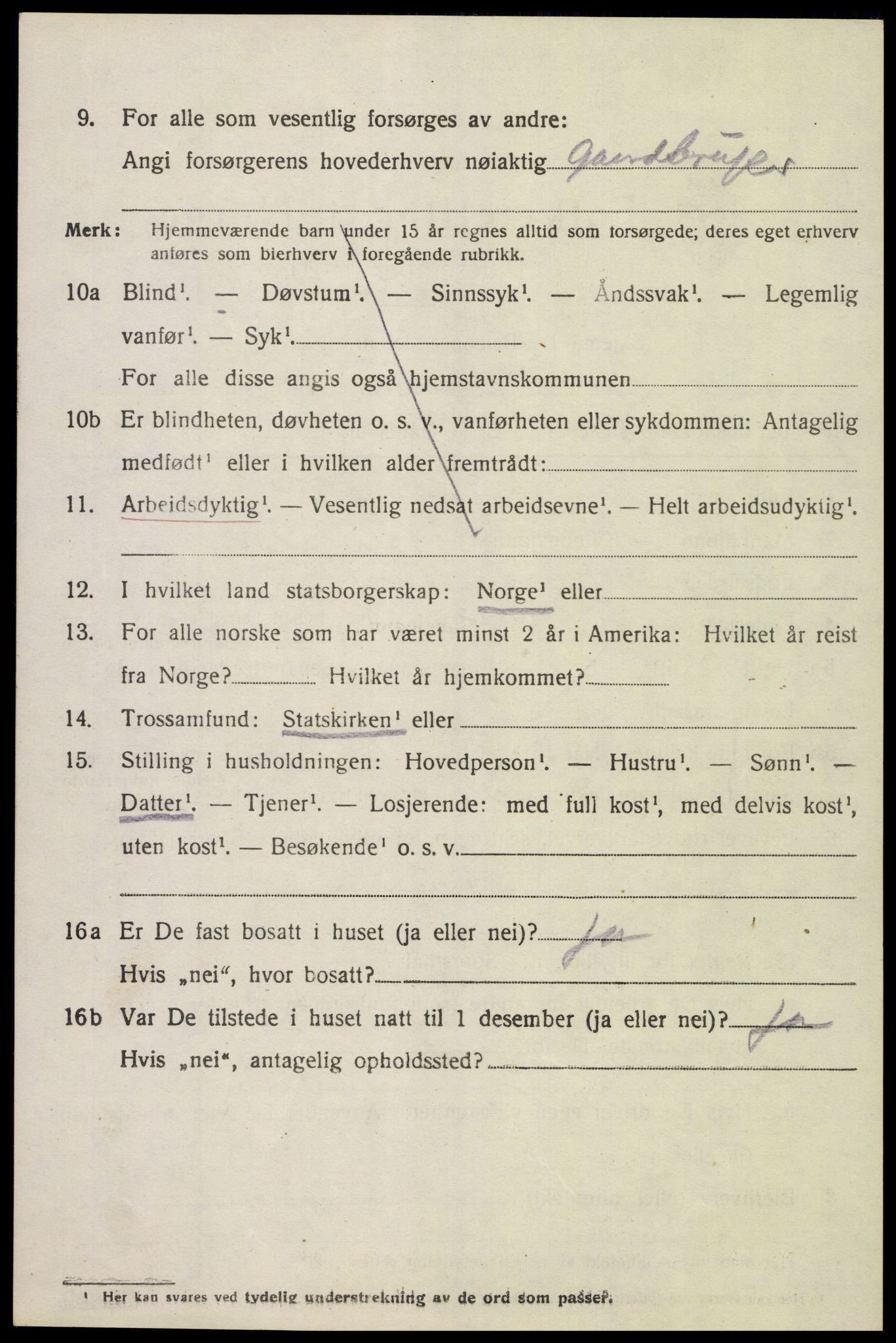 SAK, 1920 census for Åseral, 1920, p. 1217