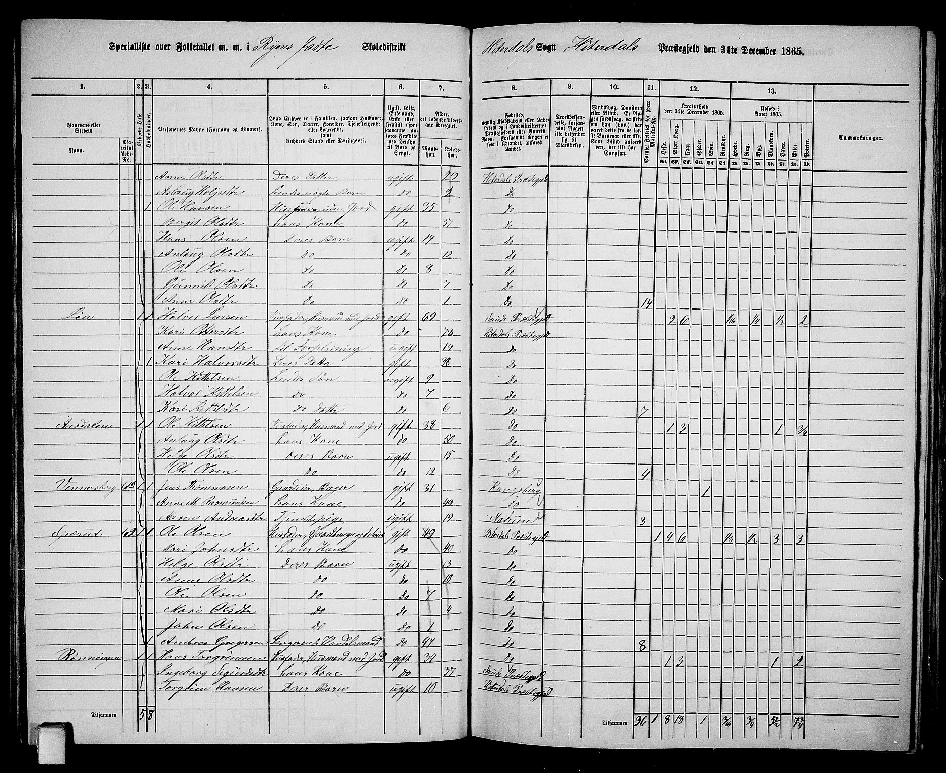 RA, 1865 census for Heddal, 1865, p. 56