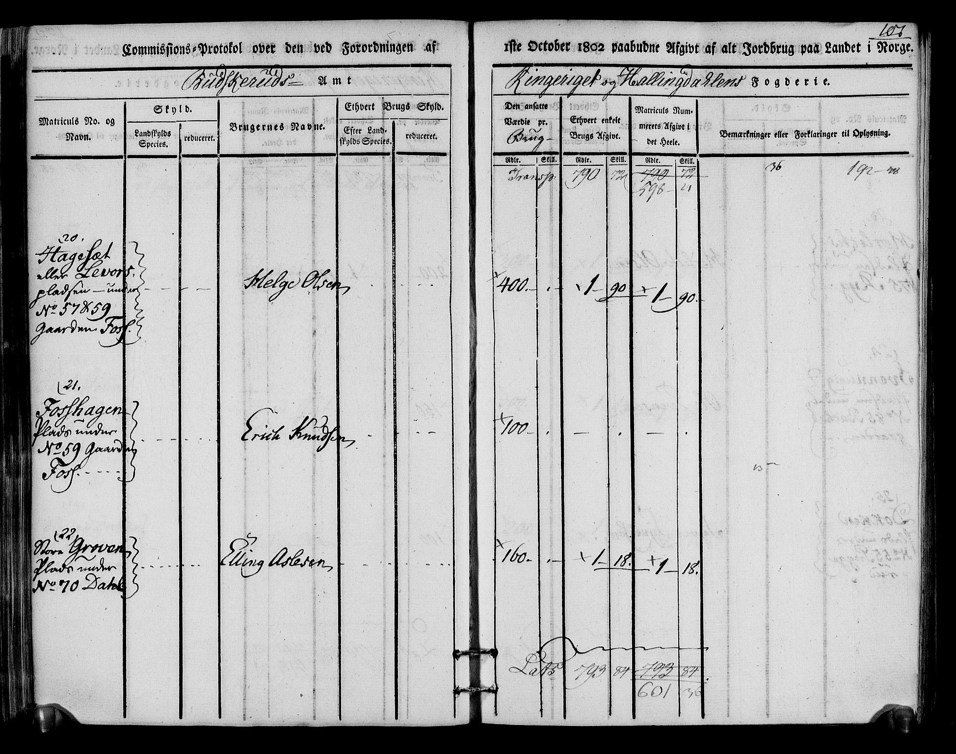 Rentekammeret inntil 1814, Realistisk ordnet avdeling, RA/EA-4070/N/Ne/Nea/L0048: Ringerike og Hallingdal fogderi. Kommisjonsprotokoll for Ål prestegjeld, 1803, p. 105