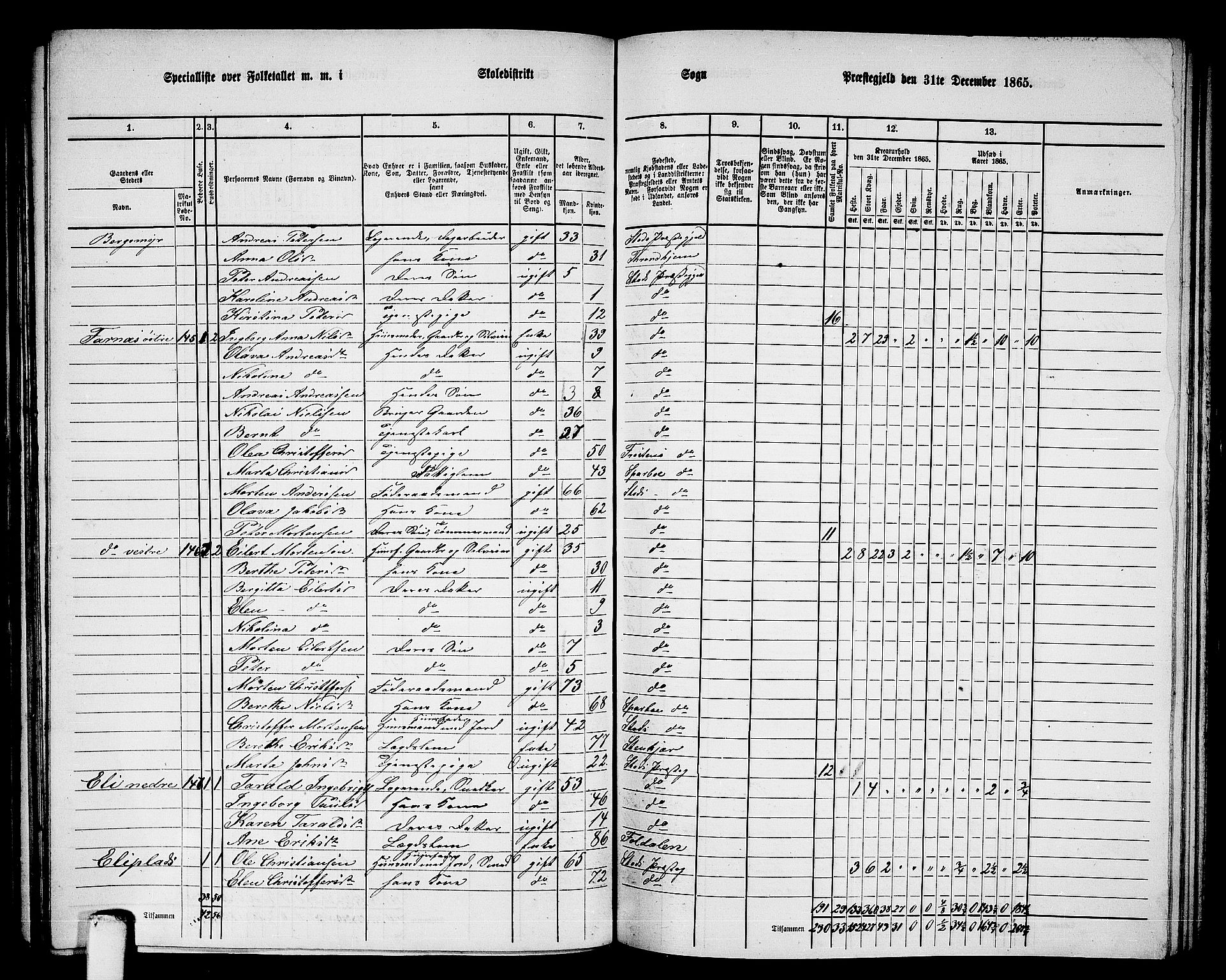 RA, 1865 census for Stod, 1865, p. 111