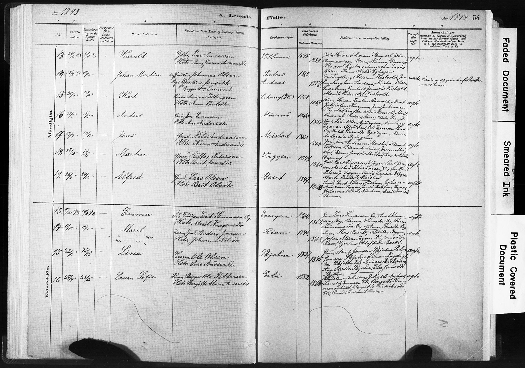 Ministerialprotokoller, klokkerbøker og fødselsregistre - Sør-Trøndelag, SAT/A-1456/665/L0773: Parish register (official) no. 665A08, 1879-1905, p. 54