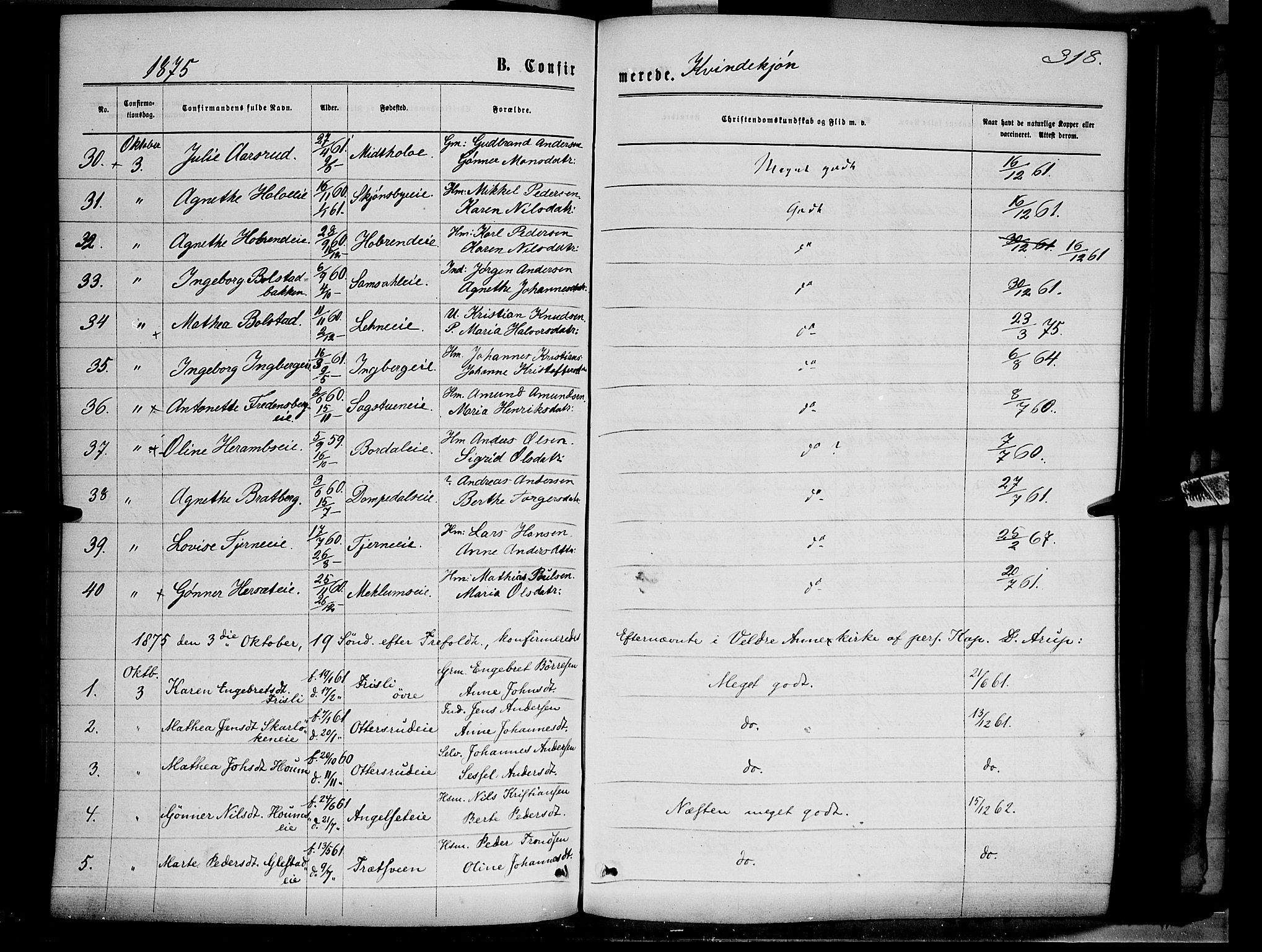 Ringsaker prestekontor, AV/SAH-PREST-014/K/Ka/L0011: Parish register (official) no. 11, 1870-1878, p. 318