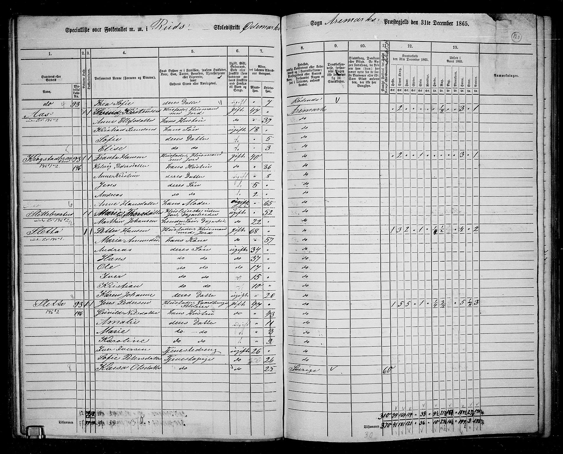 RA, 1865 census for Aremark, 1865, p. 109