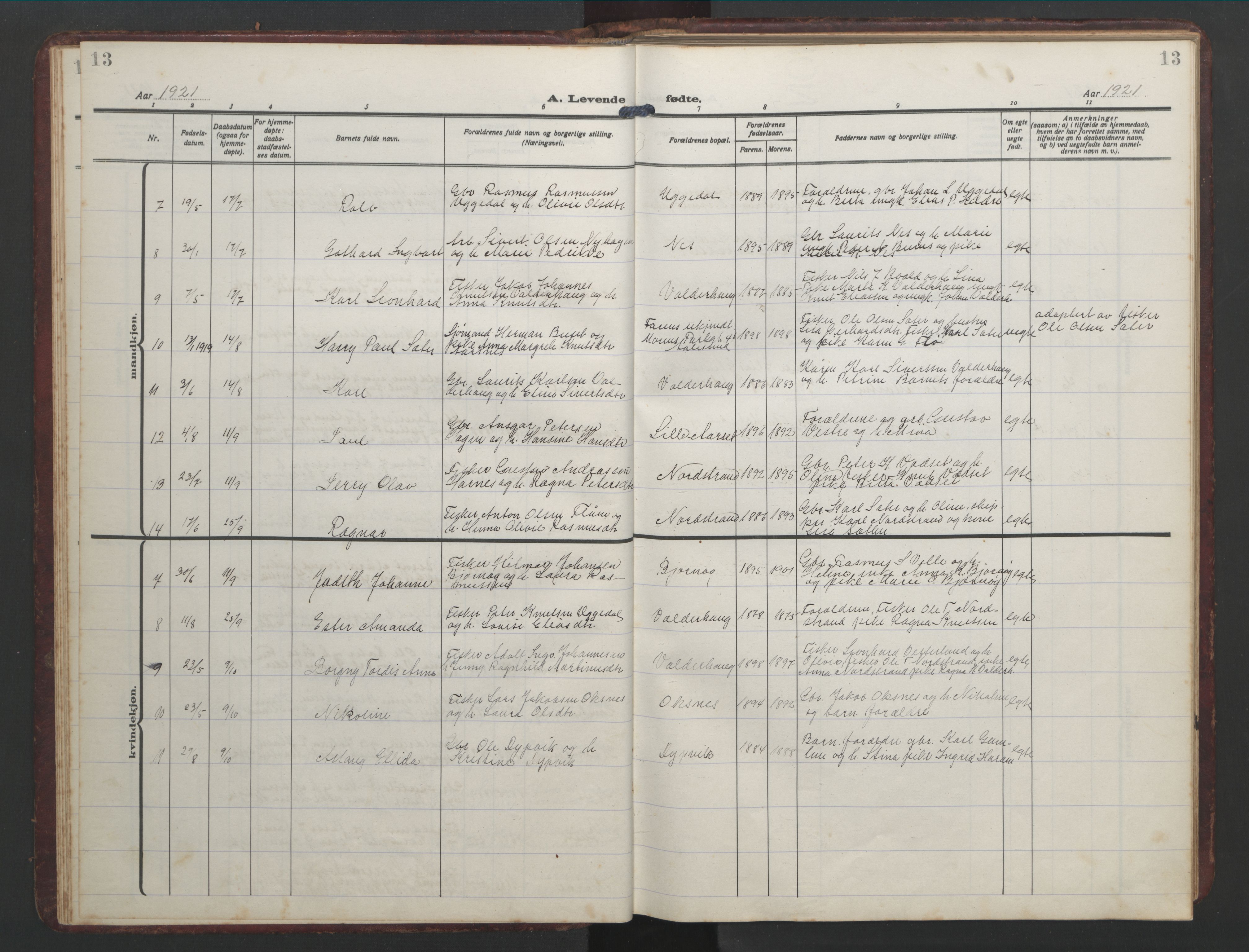 Ministerialprotokoller, klokkerbøker og fødselsregistre - Møre og Romsdal, AV/SAT-A-1454/526/L0384: Parish register (copy) no. 526C01, 1917-1952, p. 13