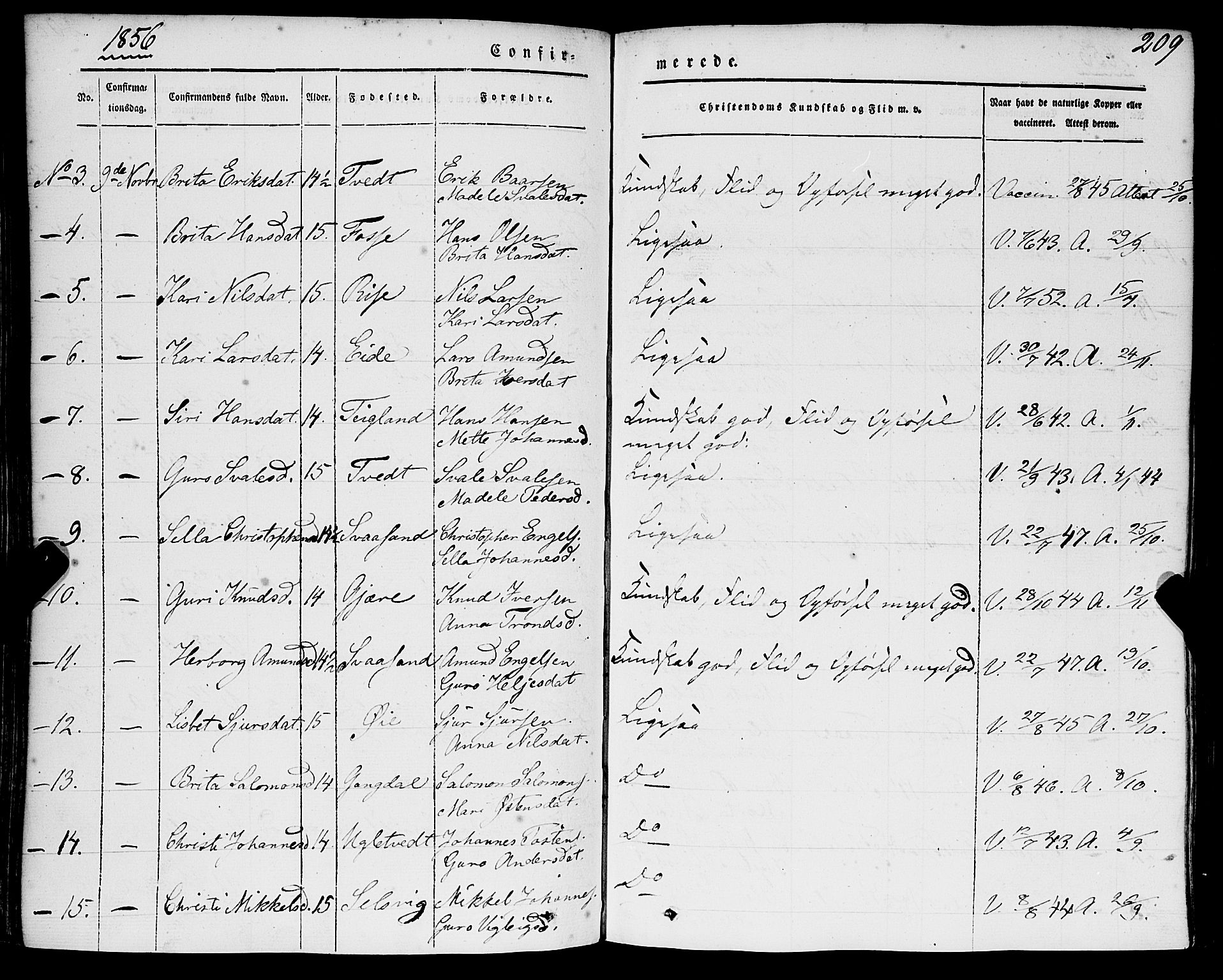 Strandebarm sokneprestembete, AV/SAB-A-78401/H/Haa: Parish register (official) no. A 7, 1844-1872, p. 209