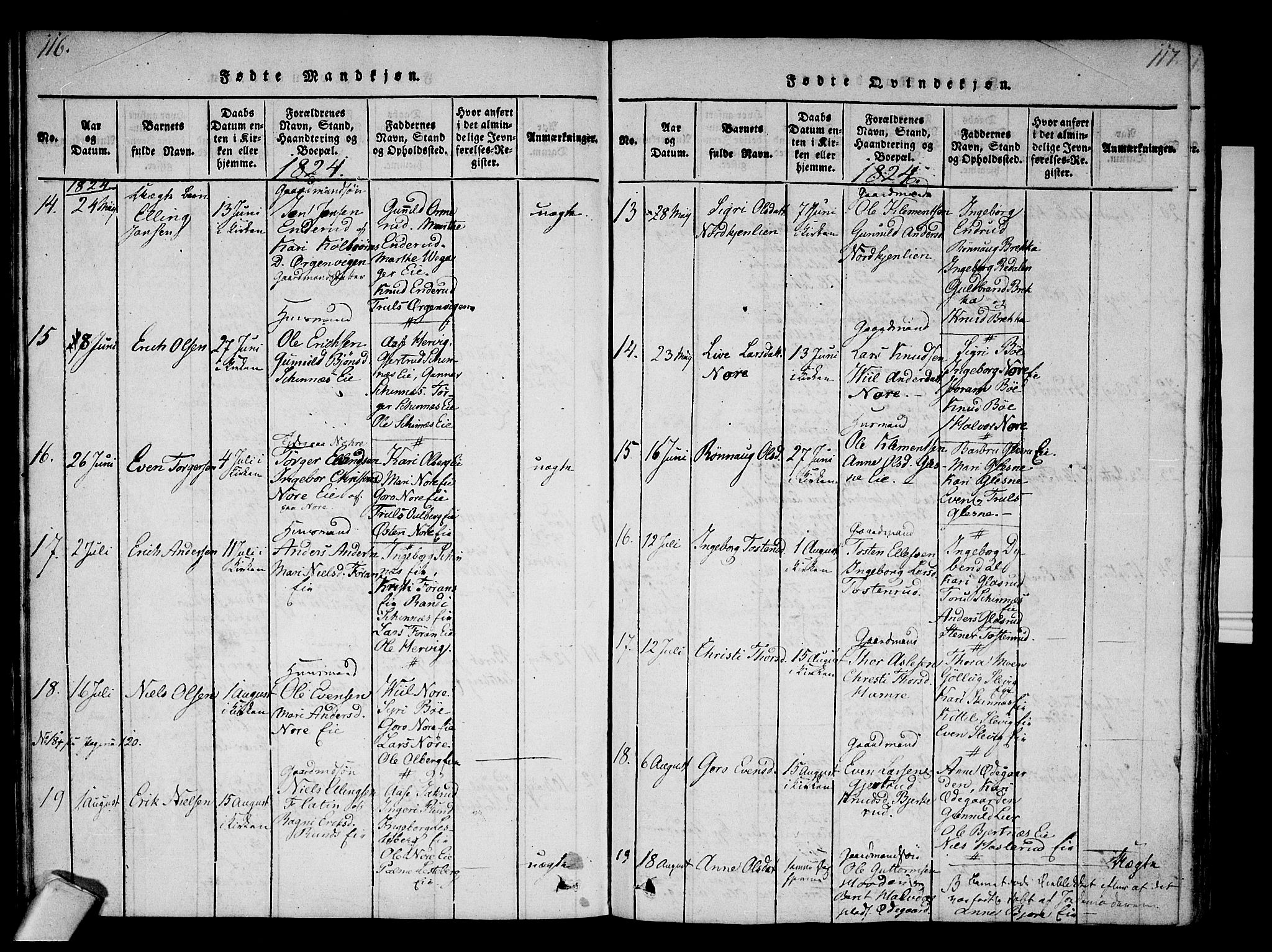 Krødsherad kirkebøker, SAKO/A-19/F/Fa/L0001: Parish register (official) no. 1, 1815-1829, p. 116-117