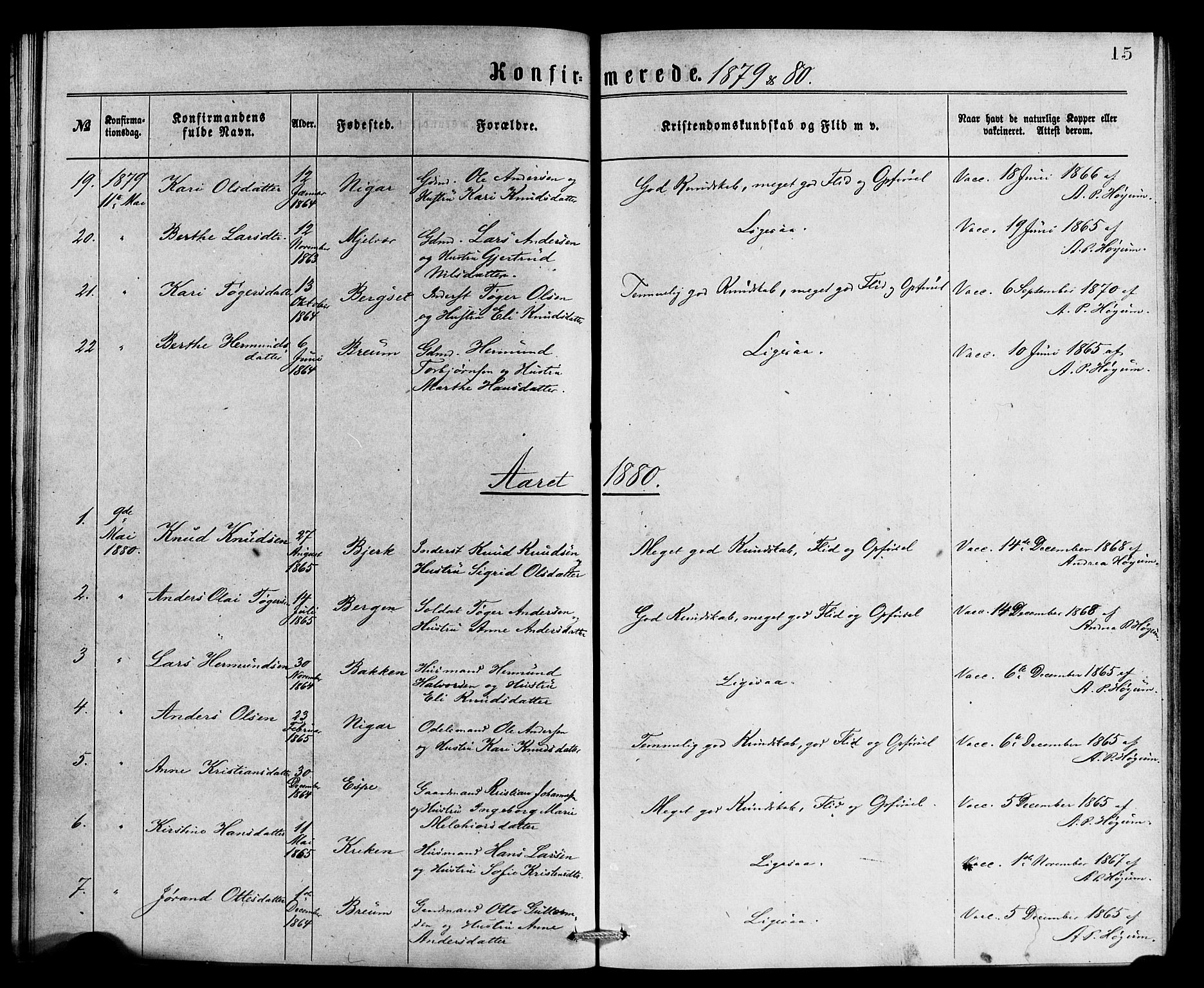 Jostedal sokneprestembete, AV/SAB-A-80601/H/Haa/Haaa/L0007: Parish register (official) no. A 7, 1874-1886, p. 15