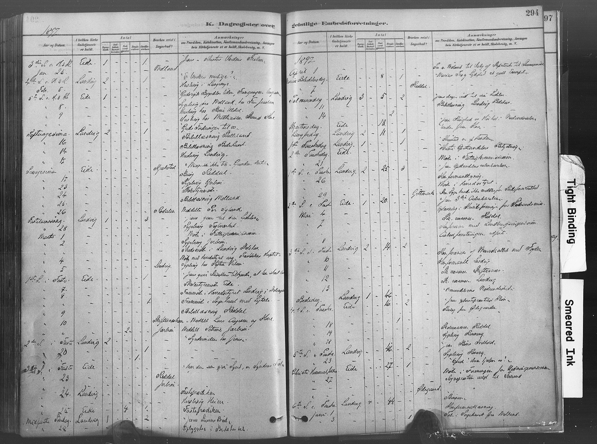 Hommedal sokneprestkontor, SAK/1111-0023/F/Fa/Fab/L0006: Parish register (official) no. A 6, 1878-1897, p. 294