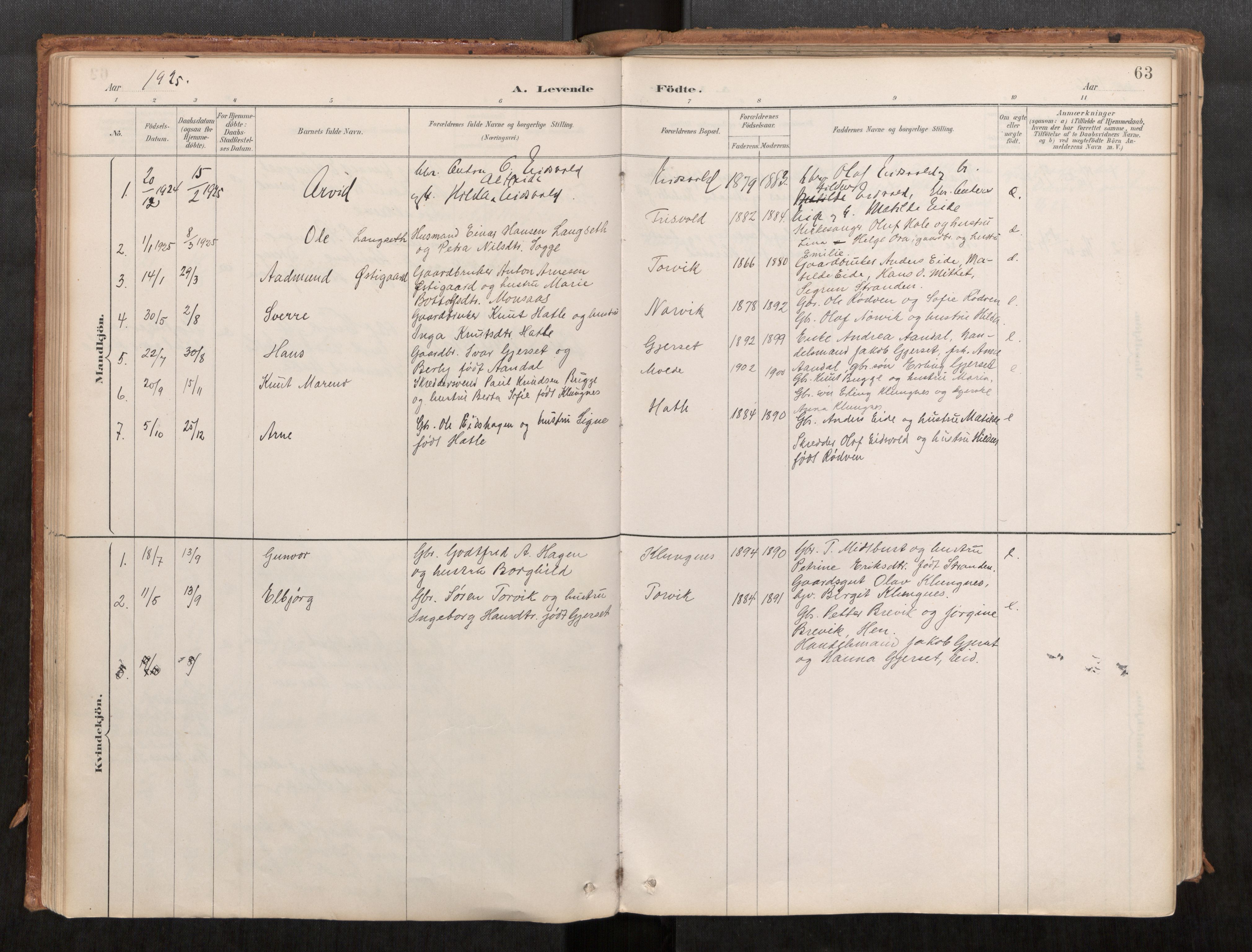 Ministerialprotokoller, klokkerbøker og fødselsregistre - Møre og Romsdal, AV/SAT-A-1454/542/L0553: Parish register (official) no. 542A03, 1885-1925, p. 63