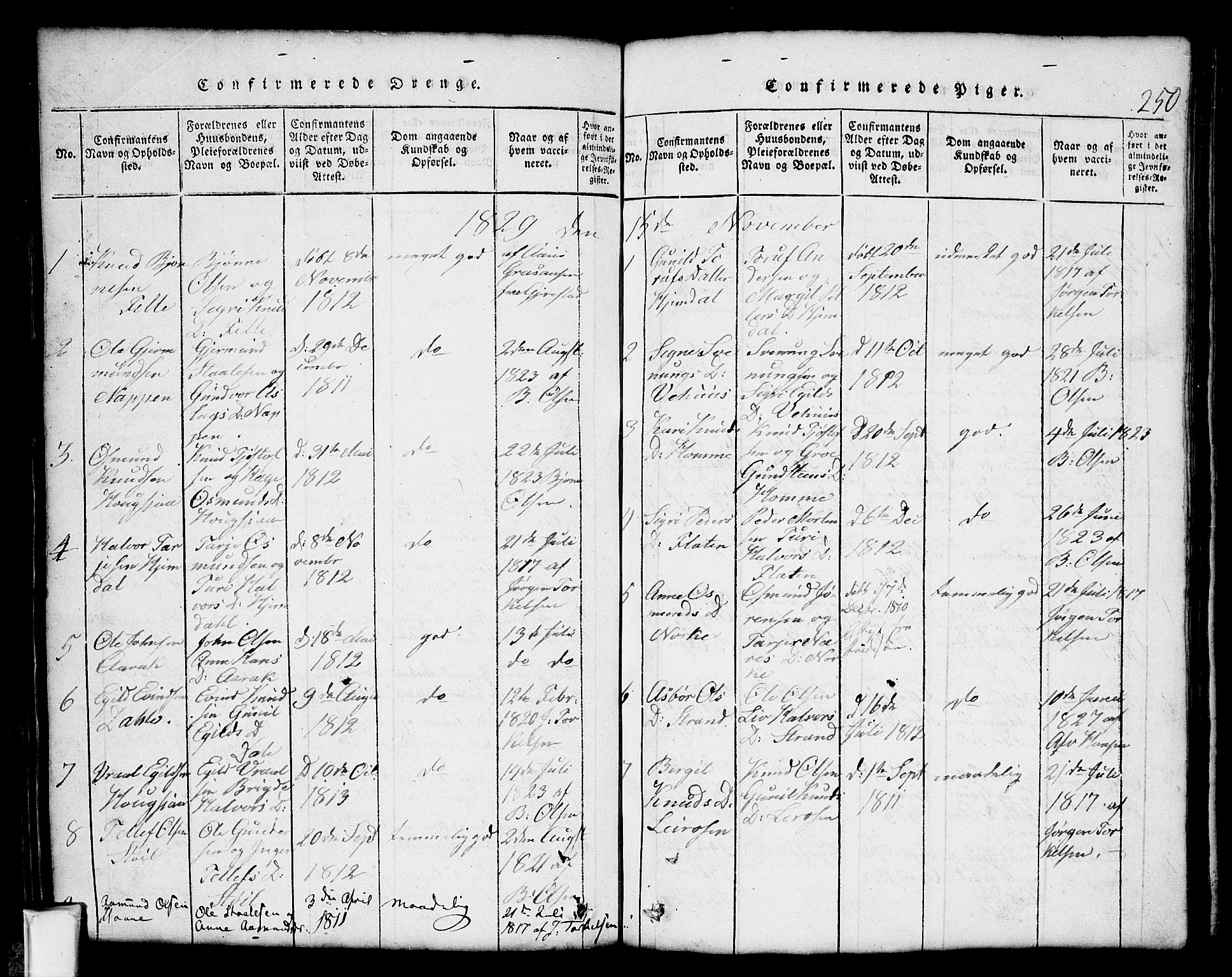 Nissedal kirkebøker, SAKO/A-288/G/Gb/L0001: Parish register (copy) no. II 1, 1814-1862, p. 250