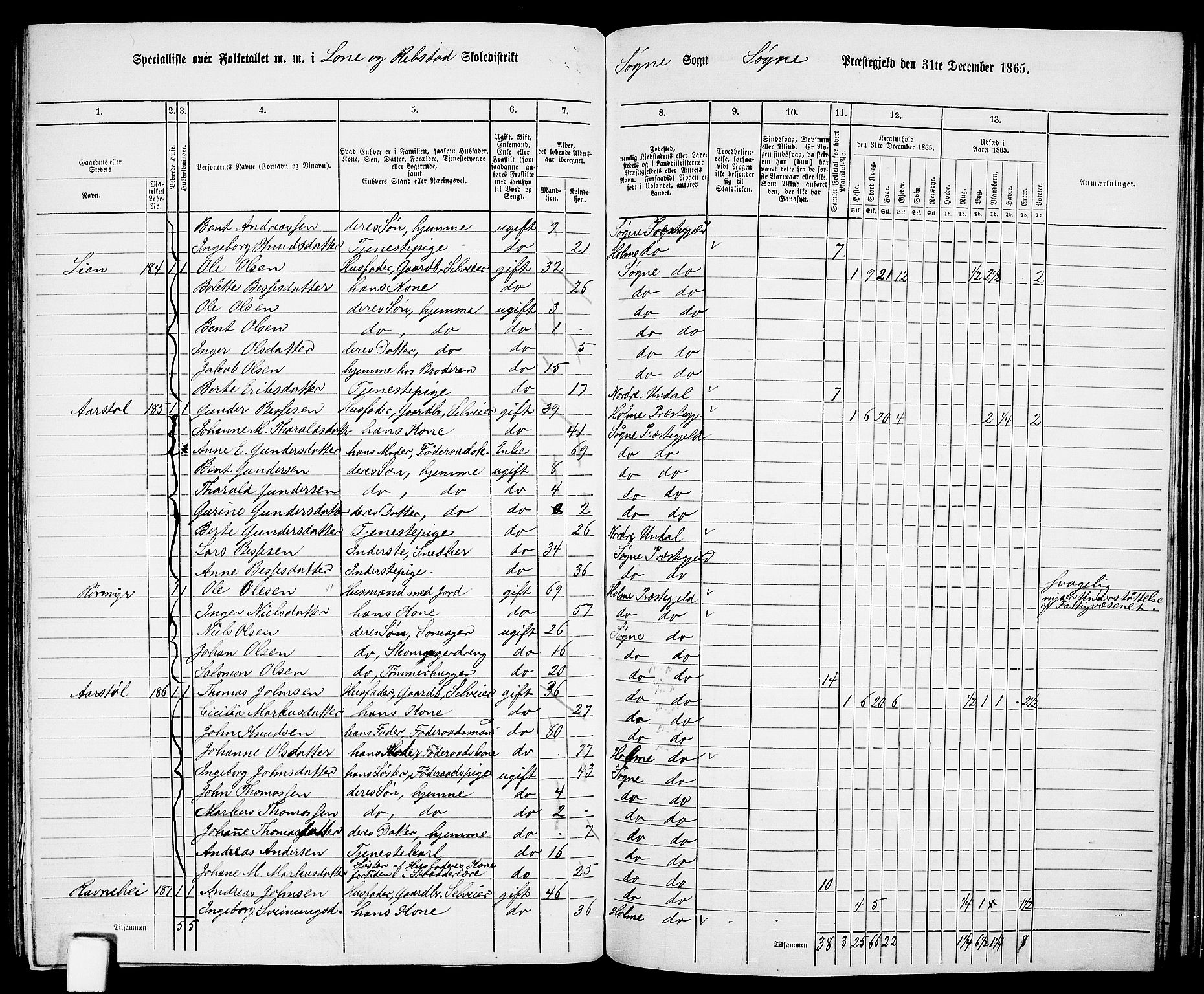 RA, 1865 census for Søgne, 1865, p. 116