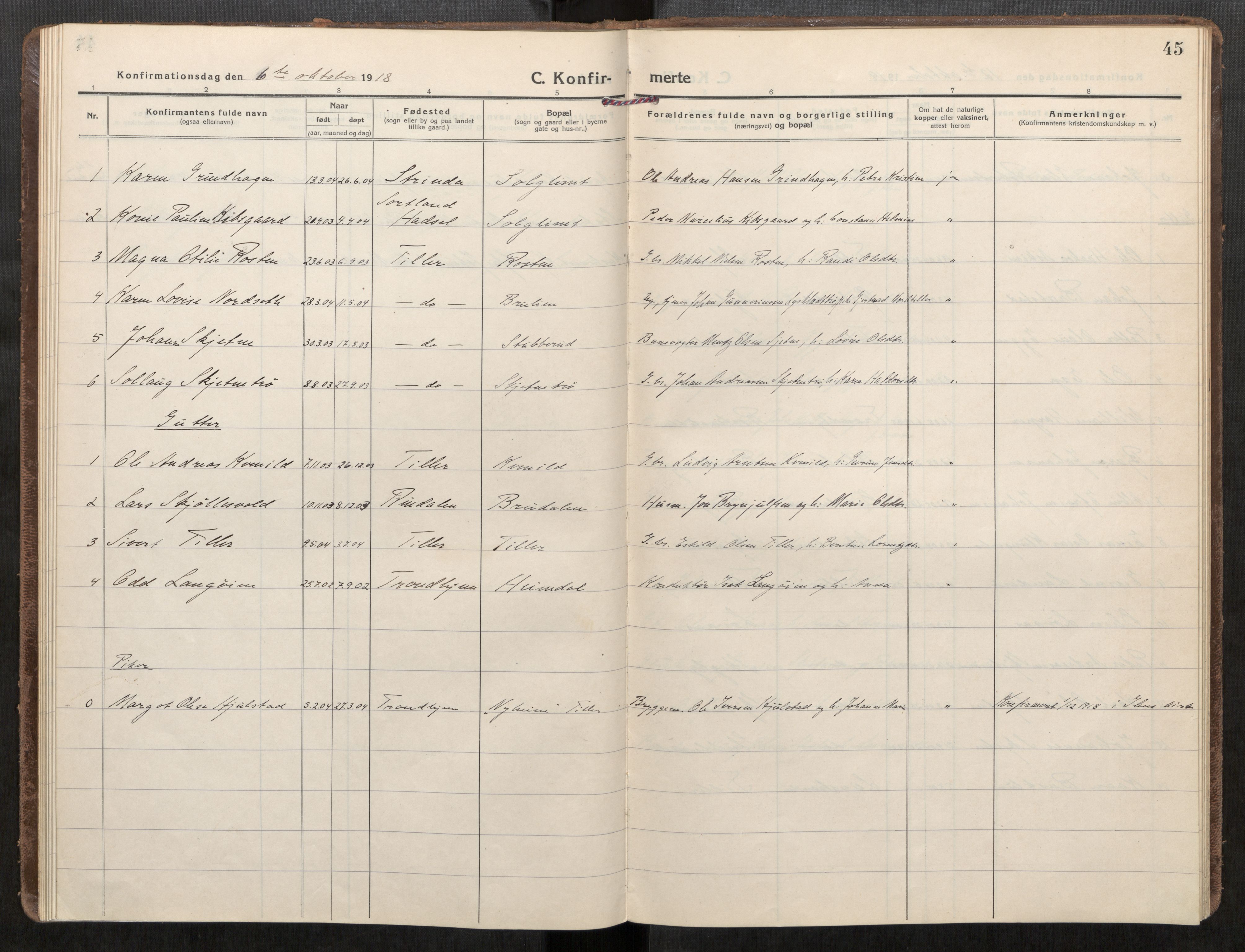 Klæbu sokneprestkontor, SAT/A-1112: Parish register (official) no. 3, 1917-1924, p. 45