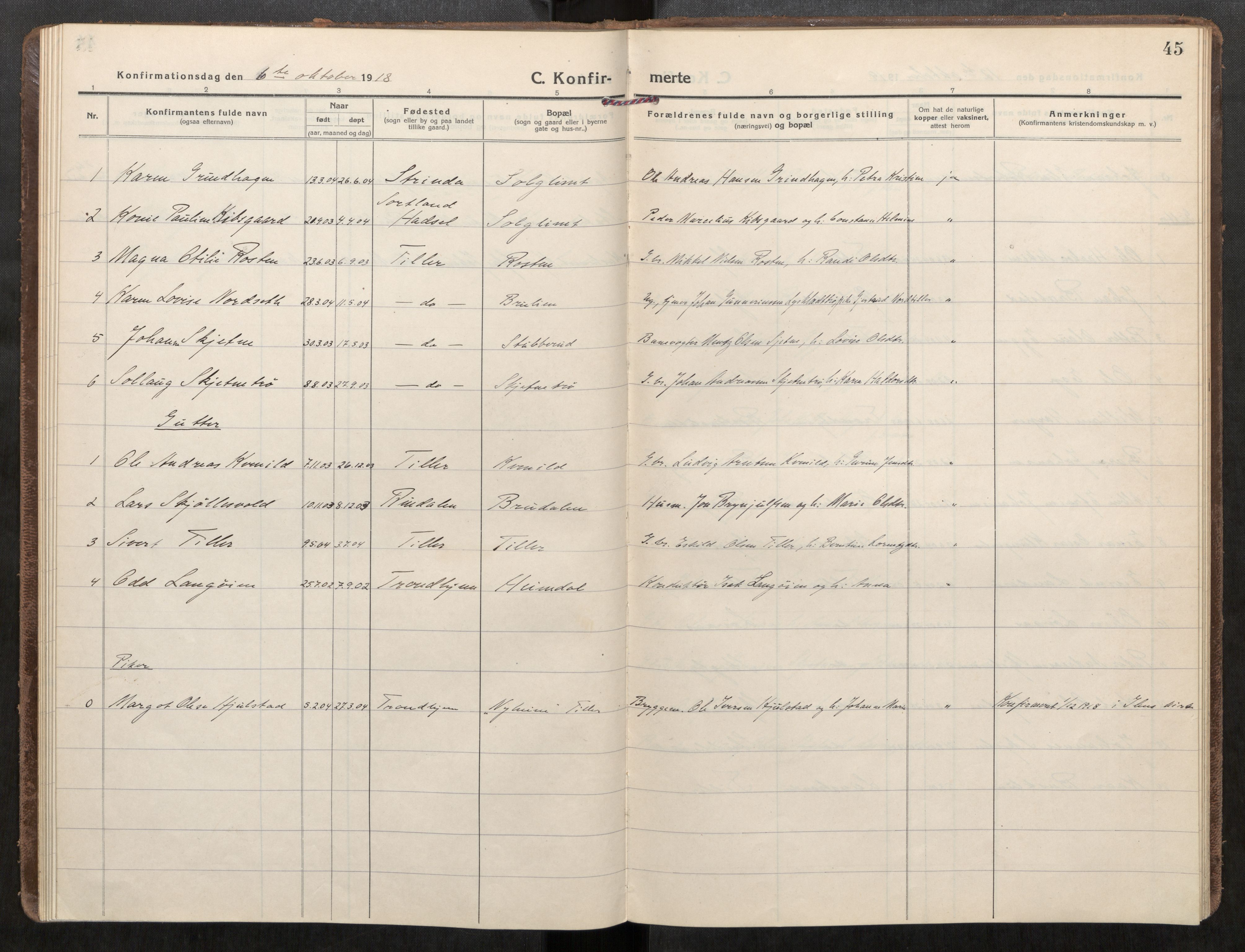 Klæbu sokneprestkontor, AV/SAT-A-1112: Parish register (official) no. 3, 1917-1924, p. 45