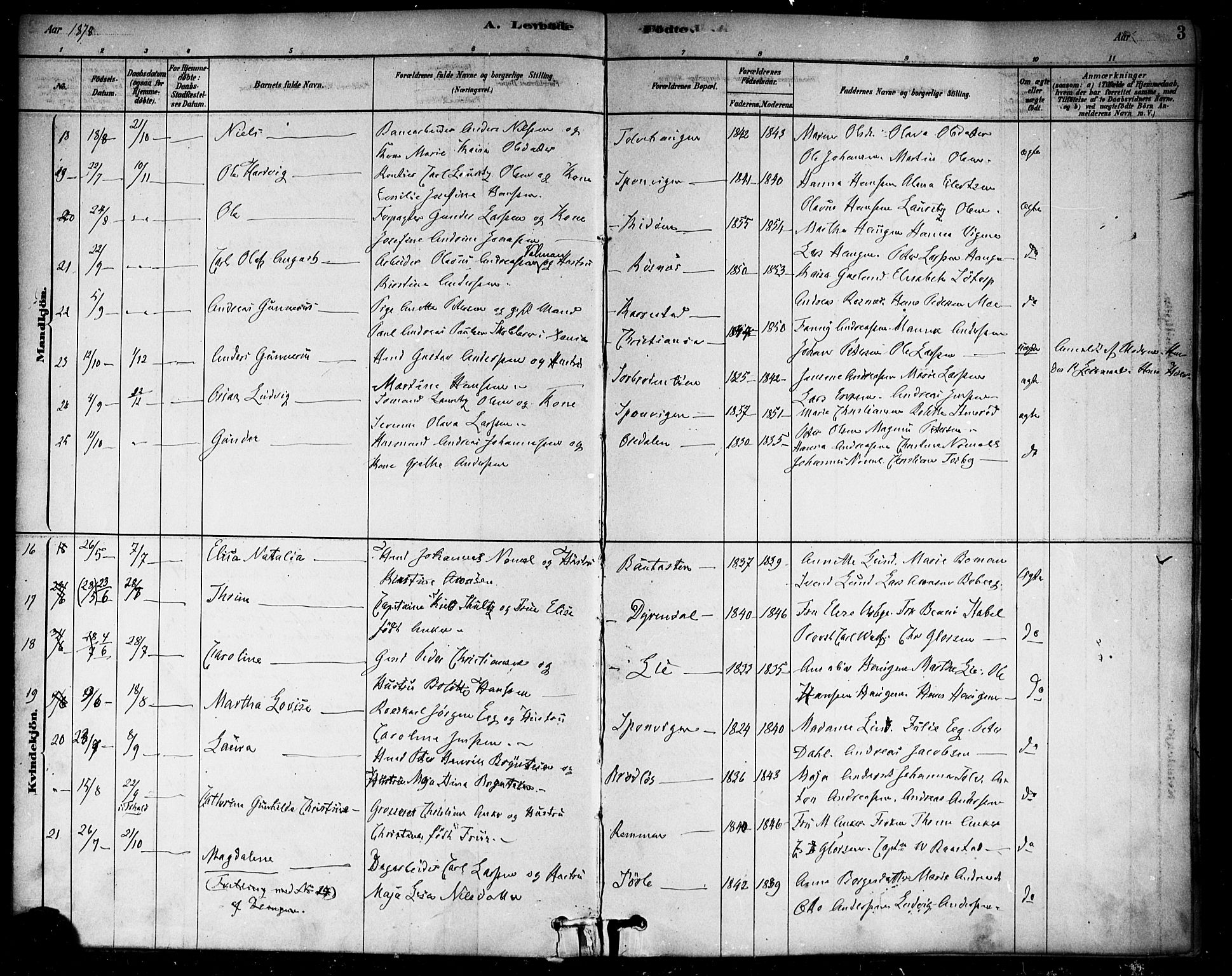 Berg prestekontor Kirkebøker, SAO/A-10902/F/Fa/L0006: Parish register (official) no. I 6, 1878-1887, p. 3