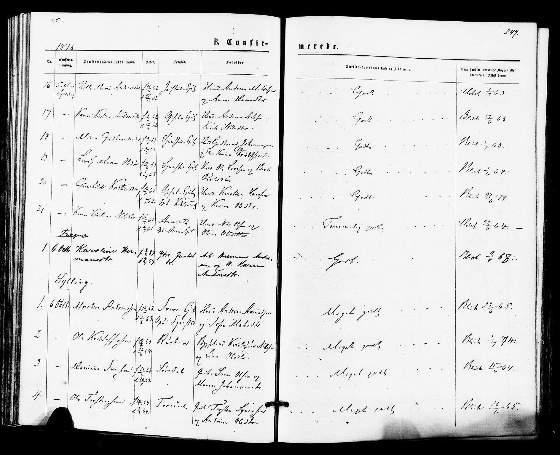 Lier kirkebøker, AV/SAKO-A-230/F/Fa/L0014: Parish register (official) no. I 14, 1875-1882, p. 247