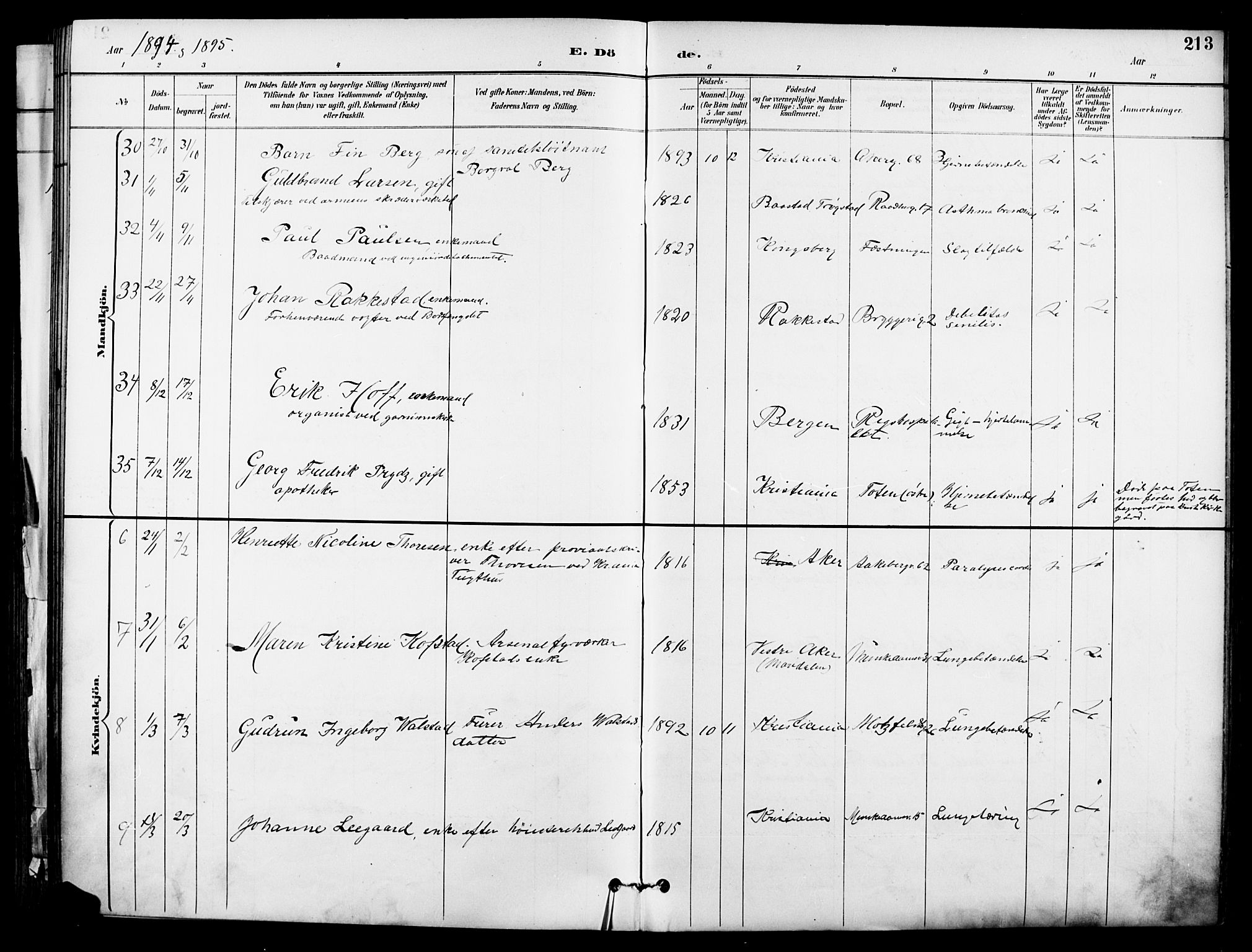 Garnisonsmenigheten Kirkebøker, SAO/A-10846/F/Fa/L0013: Parish register (official) no. 13, 1894-1904, p. 213
