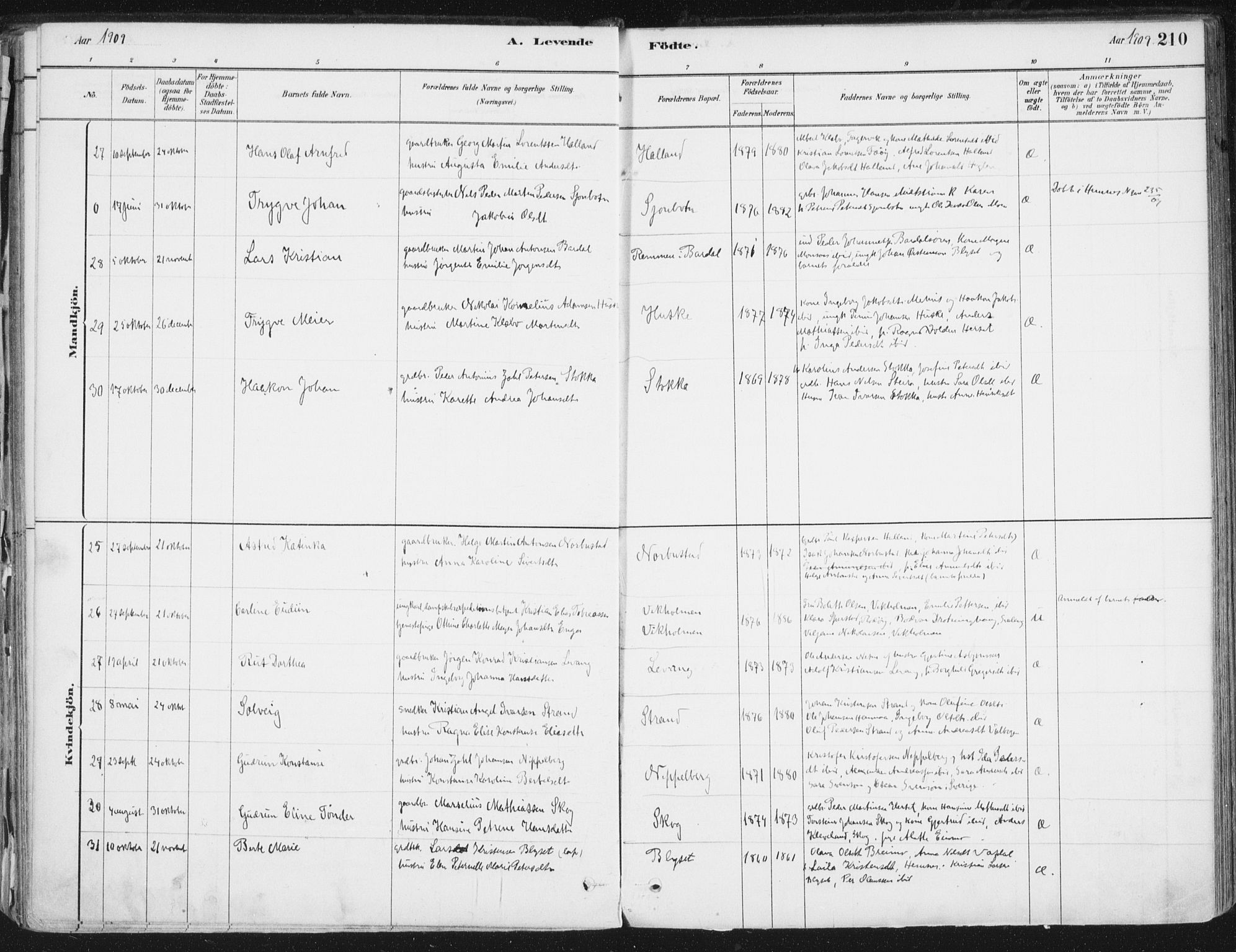 Ministerialprotokoller, klokkerbøker og fødselsregistre - Nordland, AV/SAT-A-1459/838/L0552: Parish register (official) no. 838A10, 1880-1910, p. 210