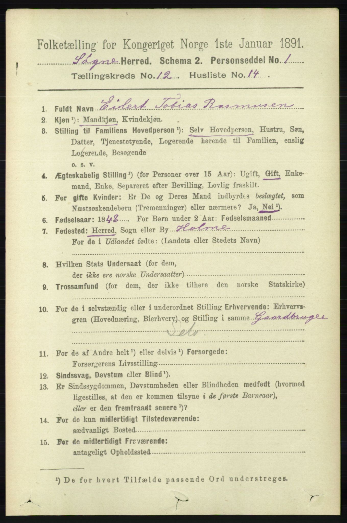 RA, 1891 census for 1018 Søgne, 1891, p. 3183