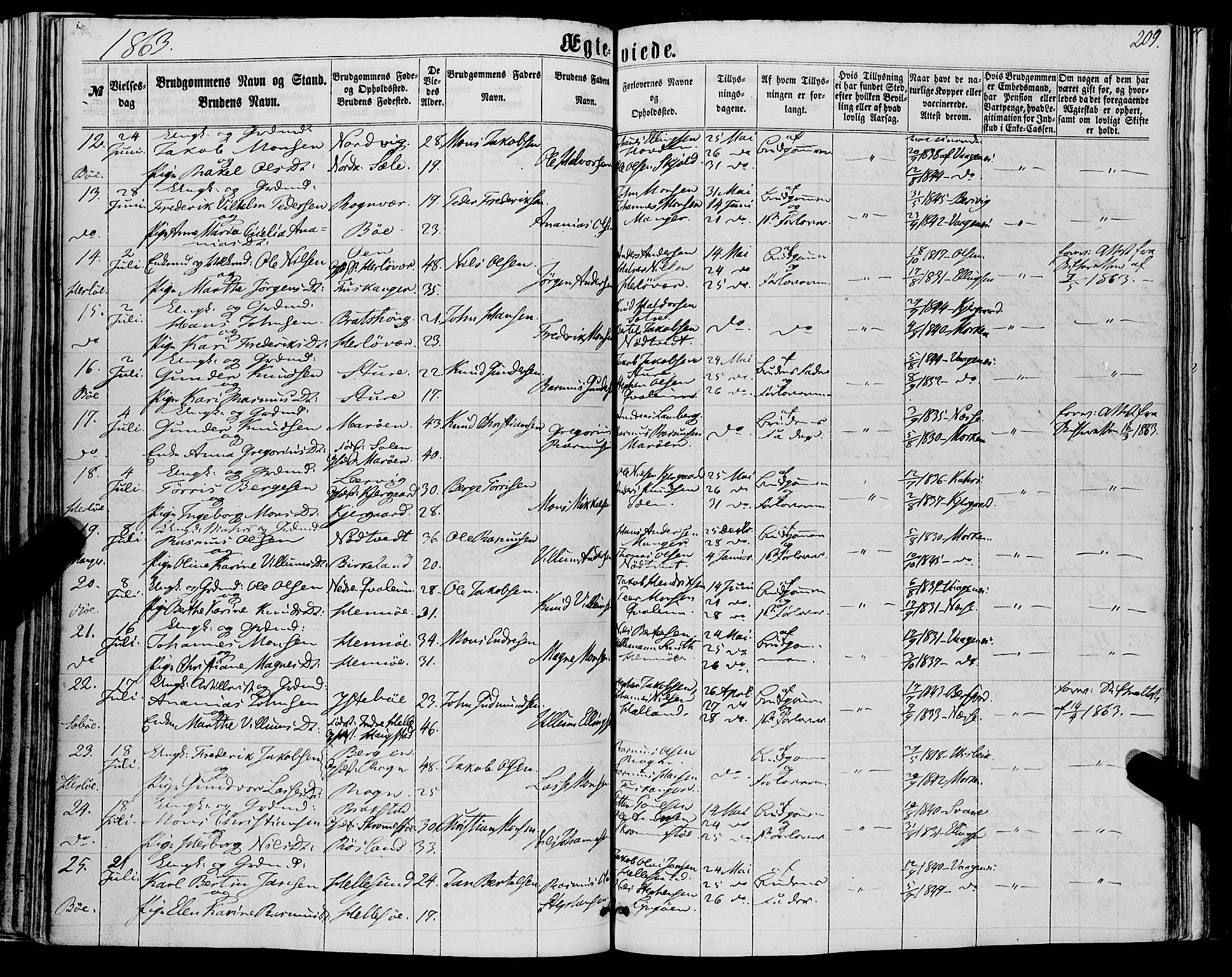 Manger sokneprestembete, AV/SAB-A-76801/H/Haa: Parish register (official) no. A 7, 1860-1870, p. 209