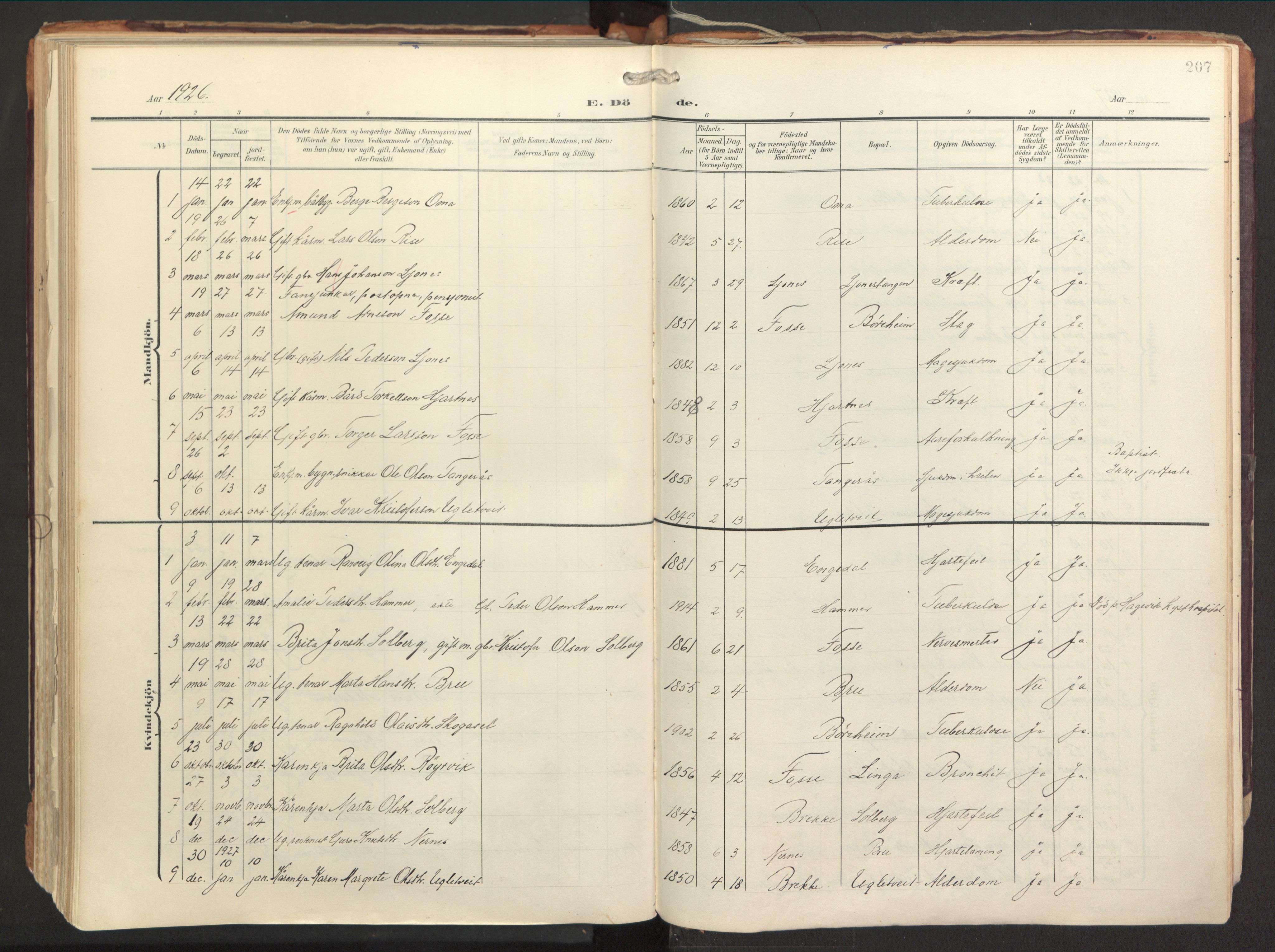 Strandebarm sokneprestembete, AV/SAB-A-78401/H/Haa: Parish register (official) no. B 2, 1909-1941, p. 207