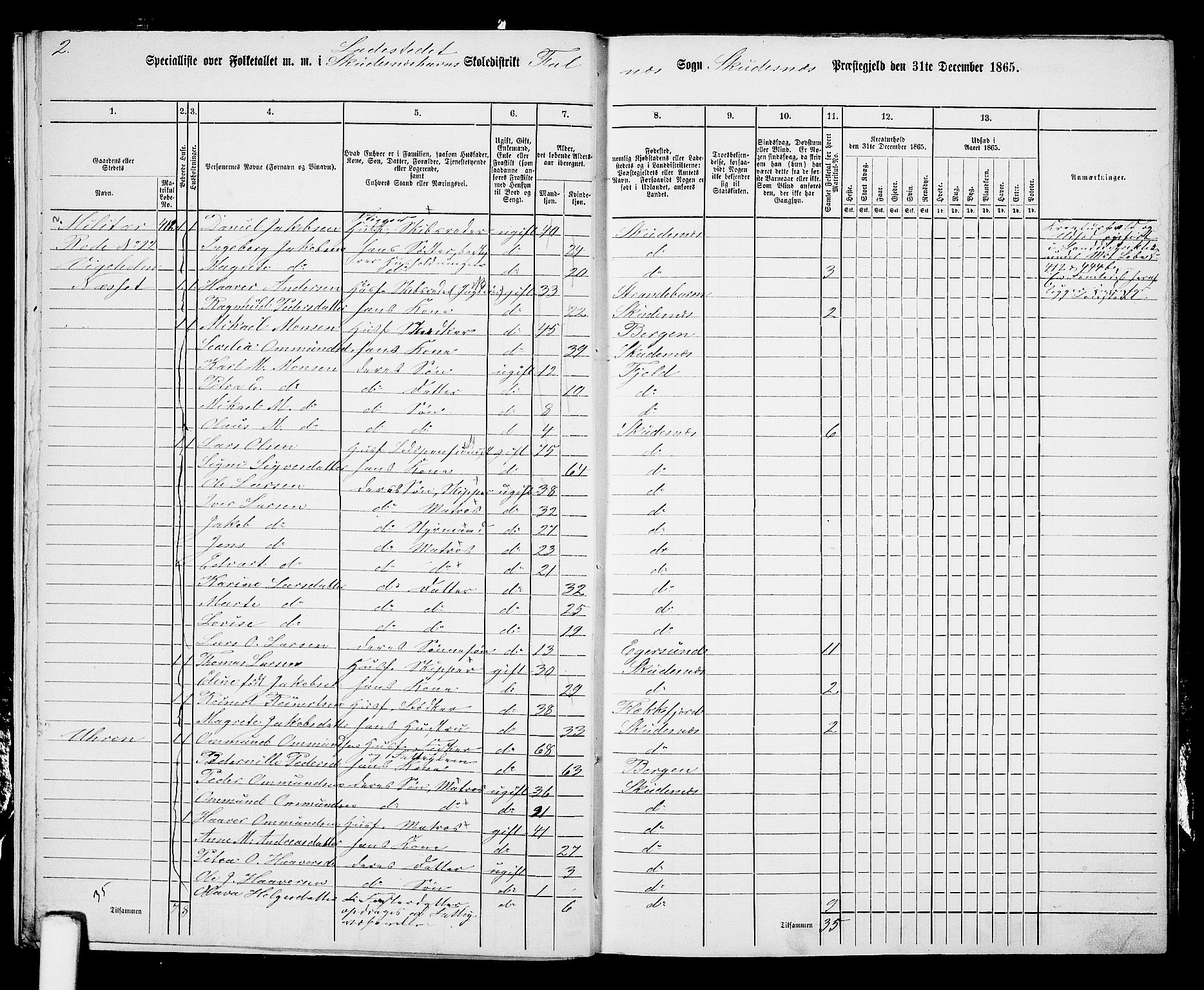 RA, 1865 census for Skudenes, 1865, p. 213