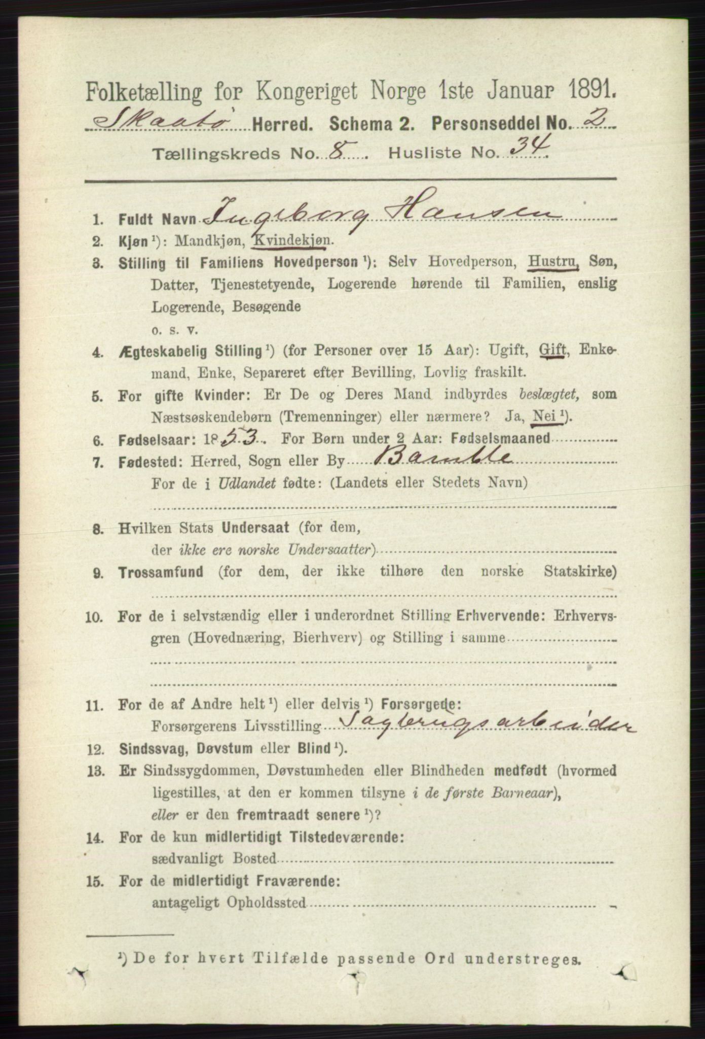 RA, 1891 census for 0815 Skåtøy, 1891, p. 3698