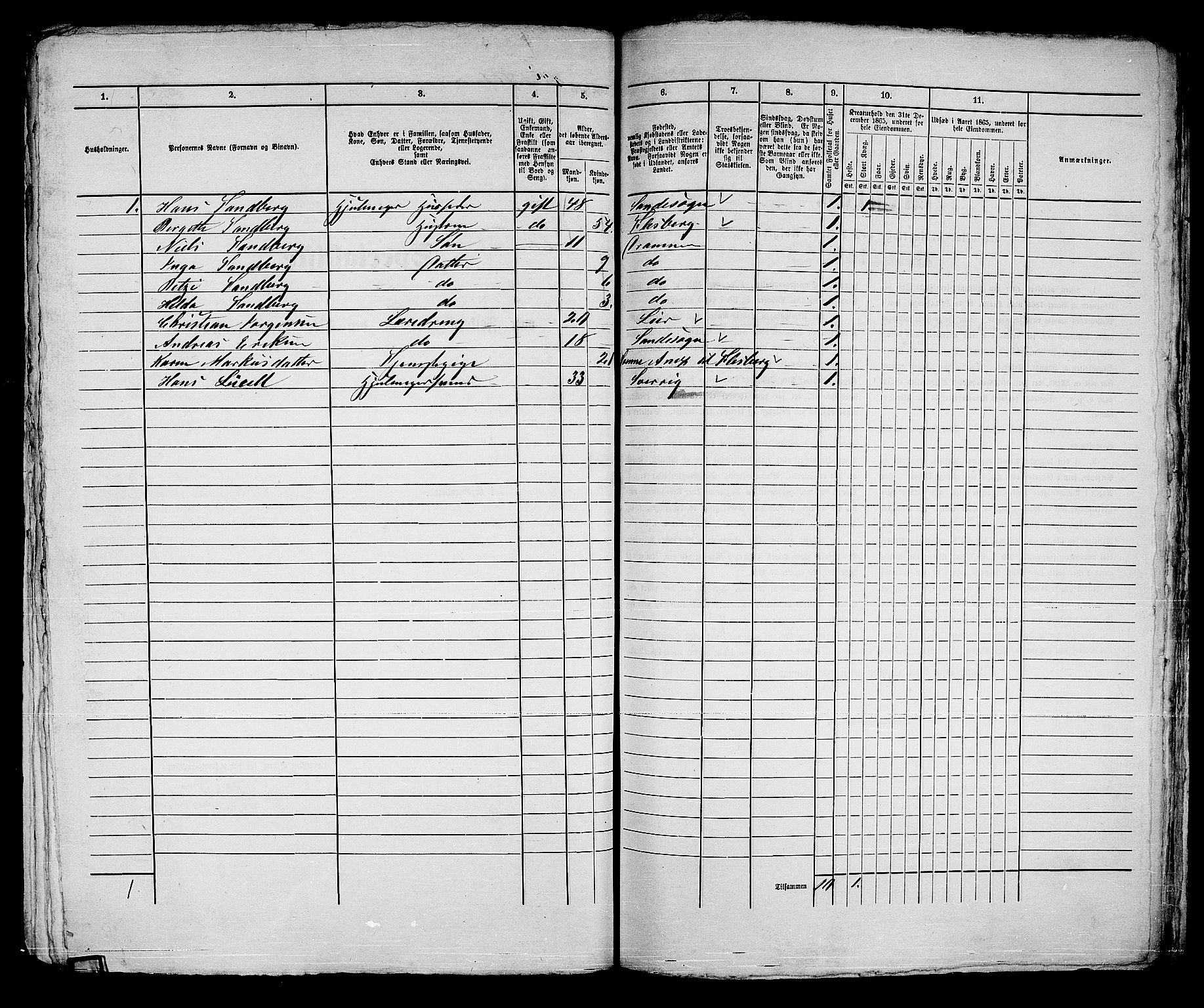 RA, 1865 census for Strømsø in Drammen, 1865, p. 416