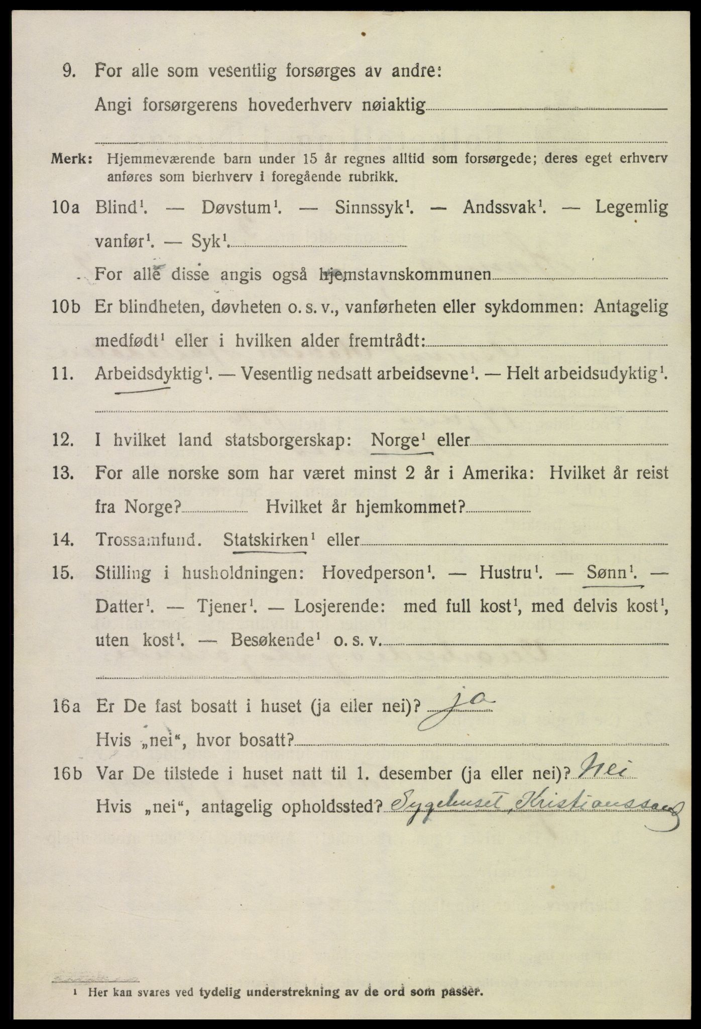 SAK, 1920 census for Hornnes, 1920, p. 2196