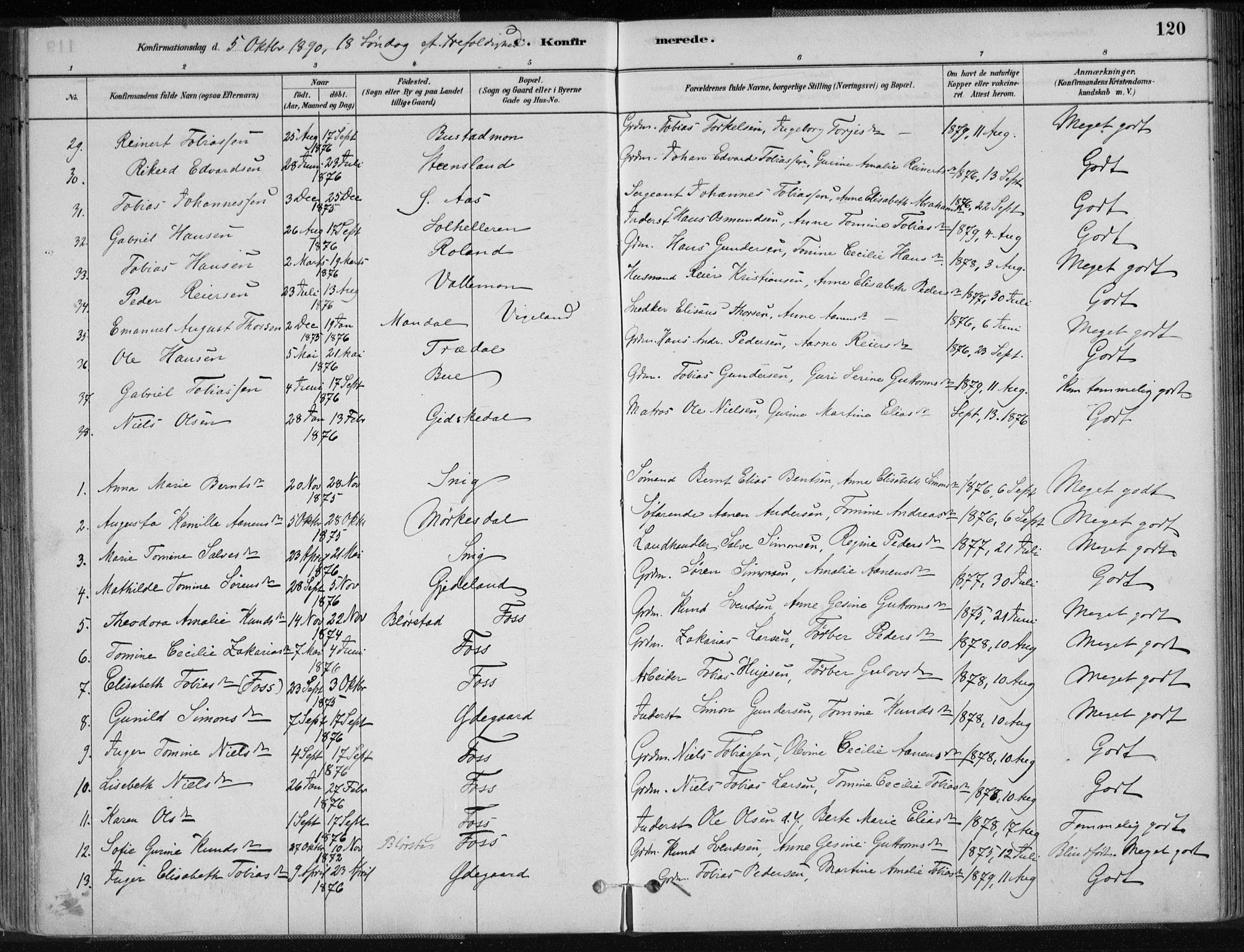 Sør-Audnedal sokneprestkontor, AV/SAK-1111-0039/F/Fa/Fab/L0009: Parish register (official) no. A 9, 1880-1895, p. 120