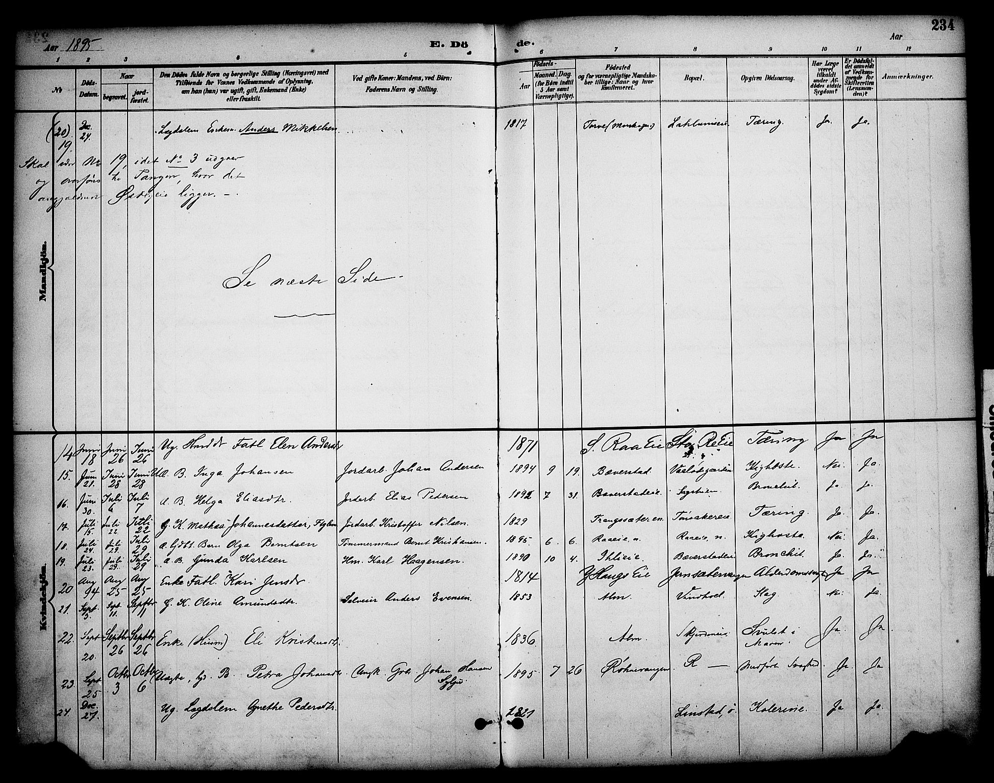 Stange prestekontor, AV/SAH-PREST-002/K/L0020: Parish register (official) no. 20, 1894-1905, p. 234