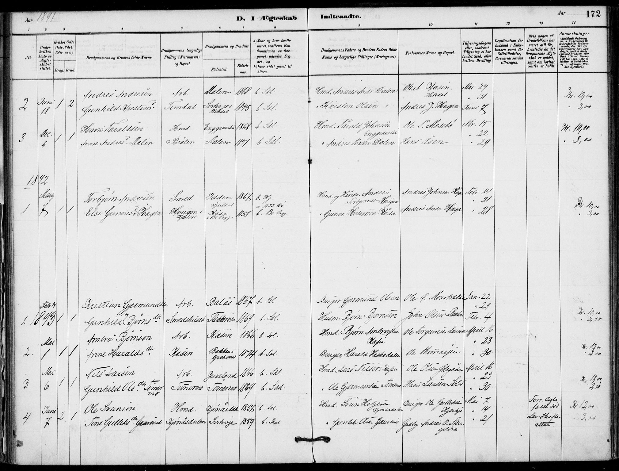 Hjartdal kirkebøker, SAKO/A-270/F/Fb/L0002: Parish register (official) no. II 2, 1880-1932, p. 172