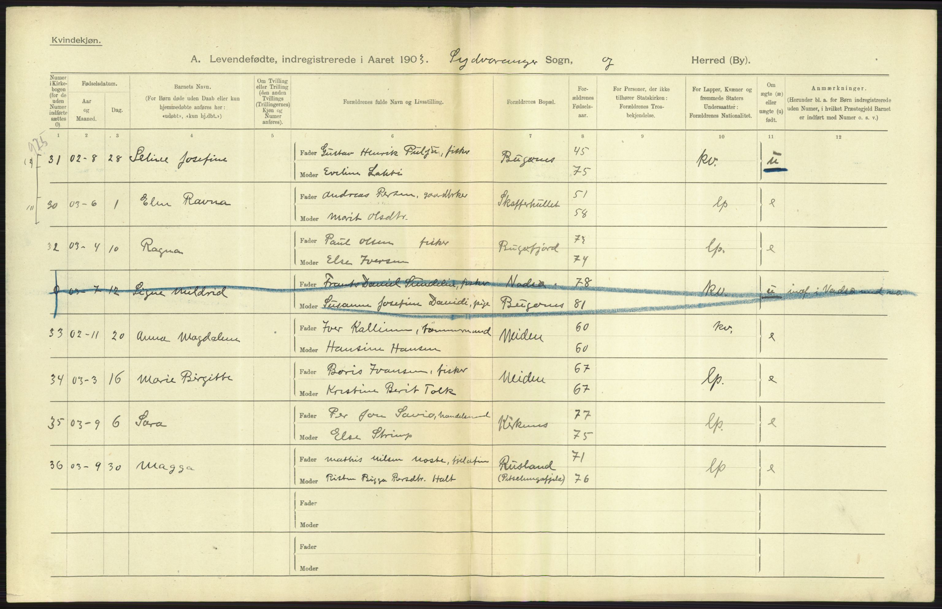 Statistisk sentralbyrå, Sosiodemografiske emner, Befolkning, AV/RA-S-2228/D/Df/Dfa/Dfaa/L0022: Finnmarkens amt: Fødte, gifte, døde., 1903, p. 7