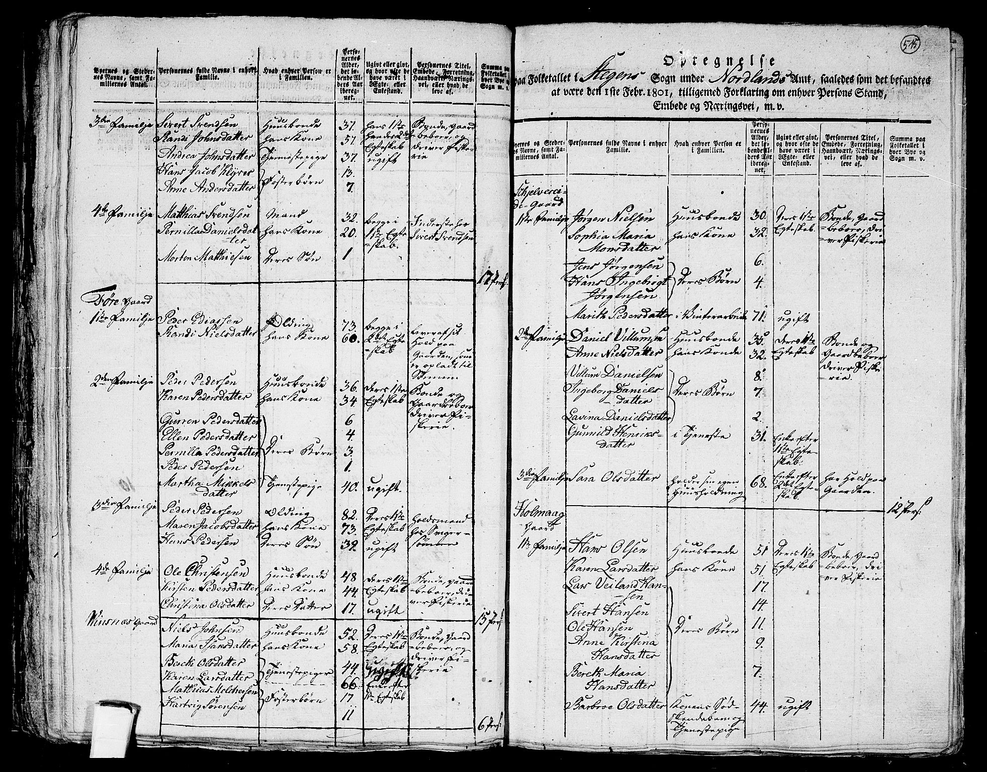 RA, 1801 census for 1848P Steigen, 1801, p. 514b-515a