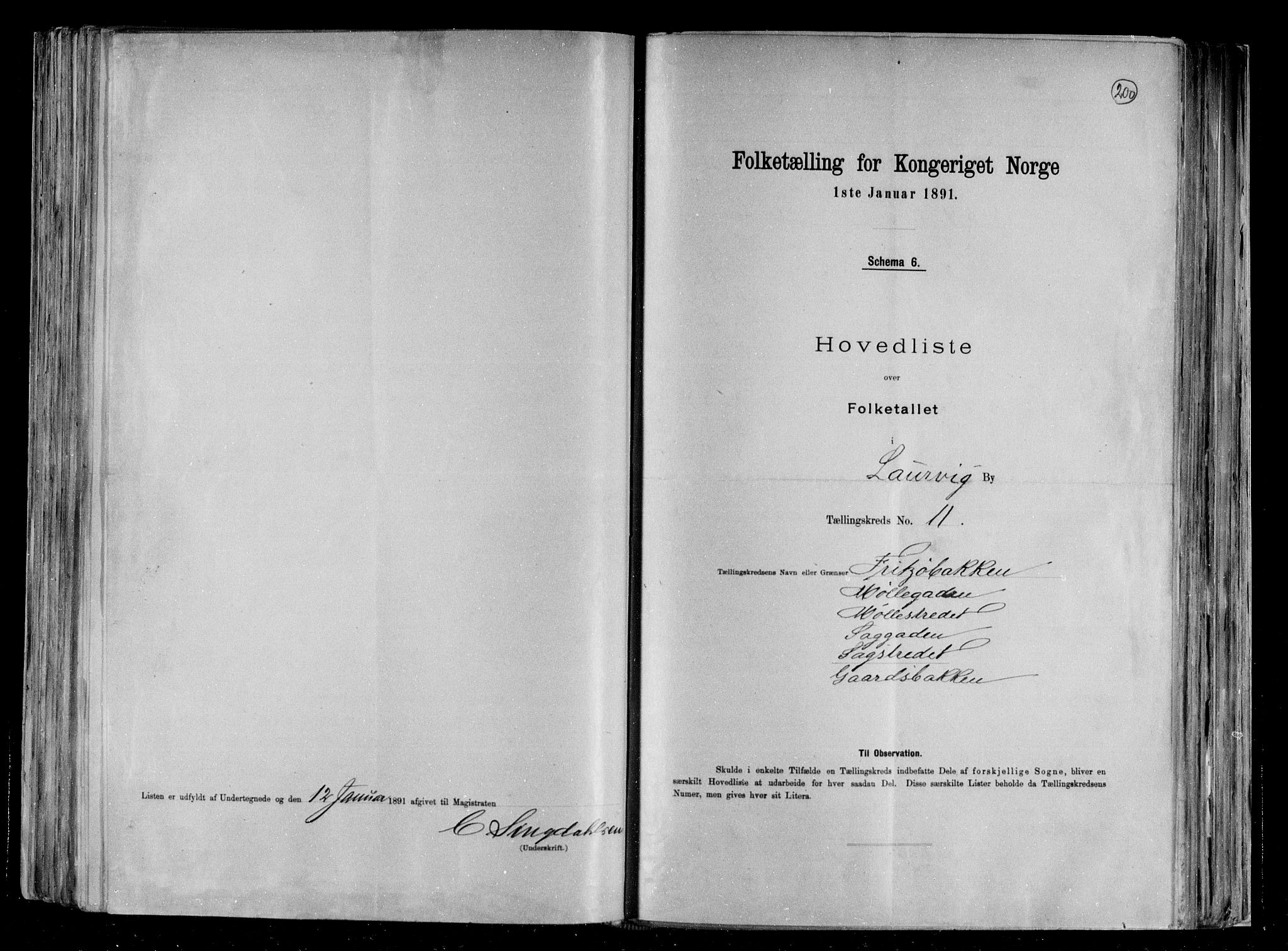 RA, 1891 census for 0707 Larvik, 1891, p. 25