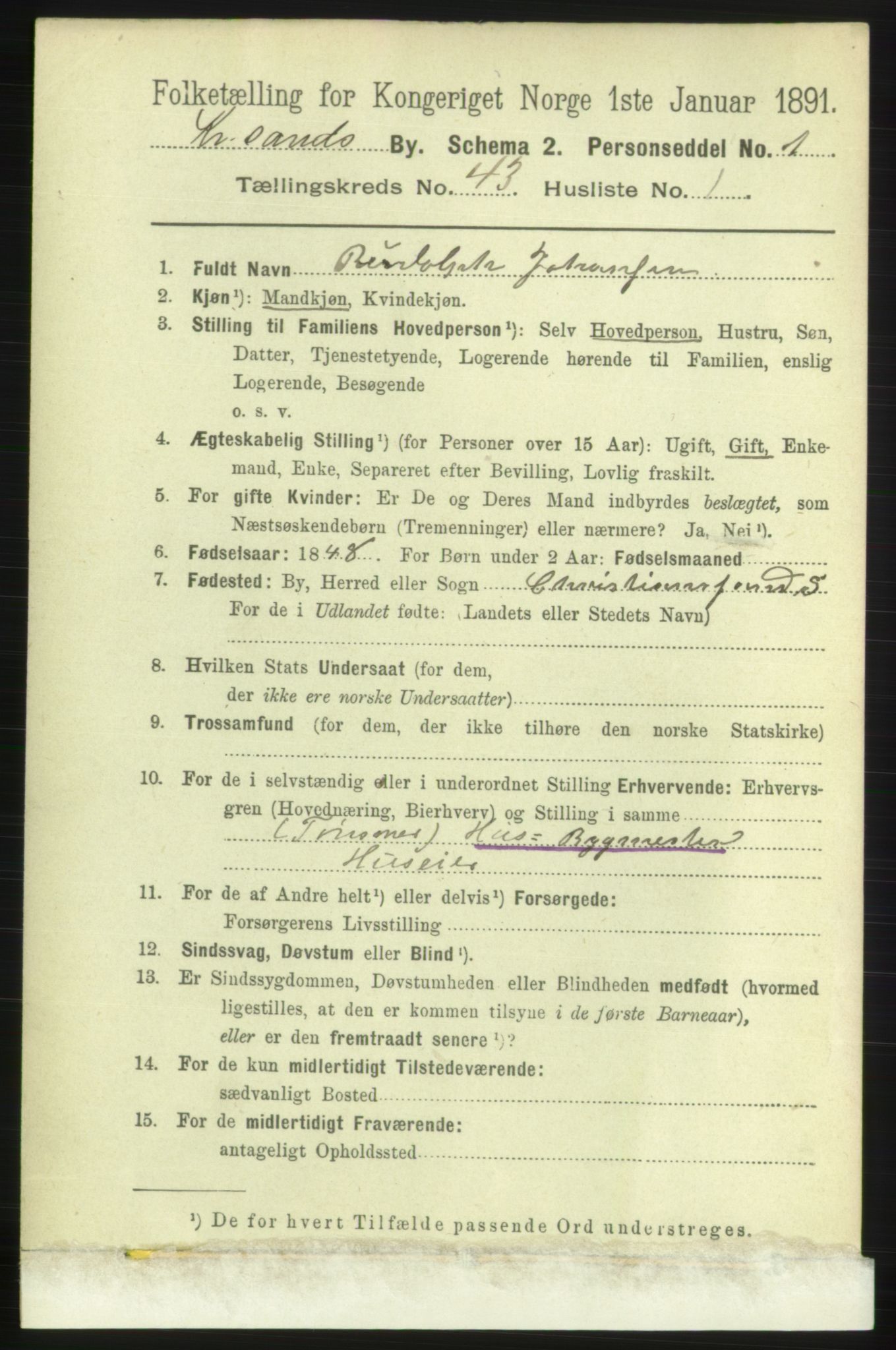 RA, 1891 census for 1001 Kristiansand, 1891, p. 13173