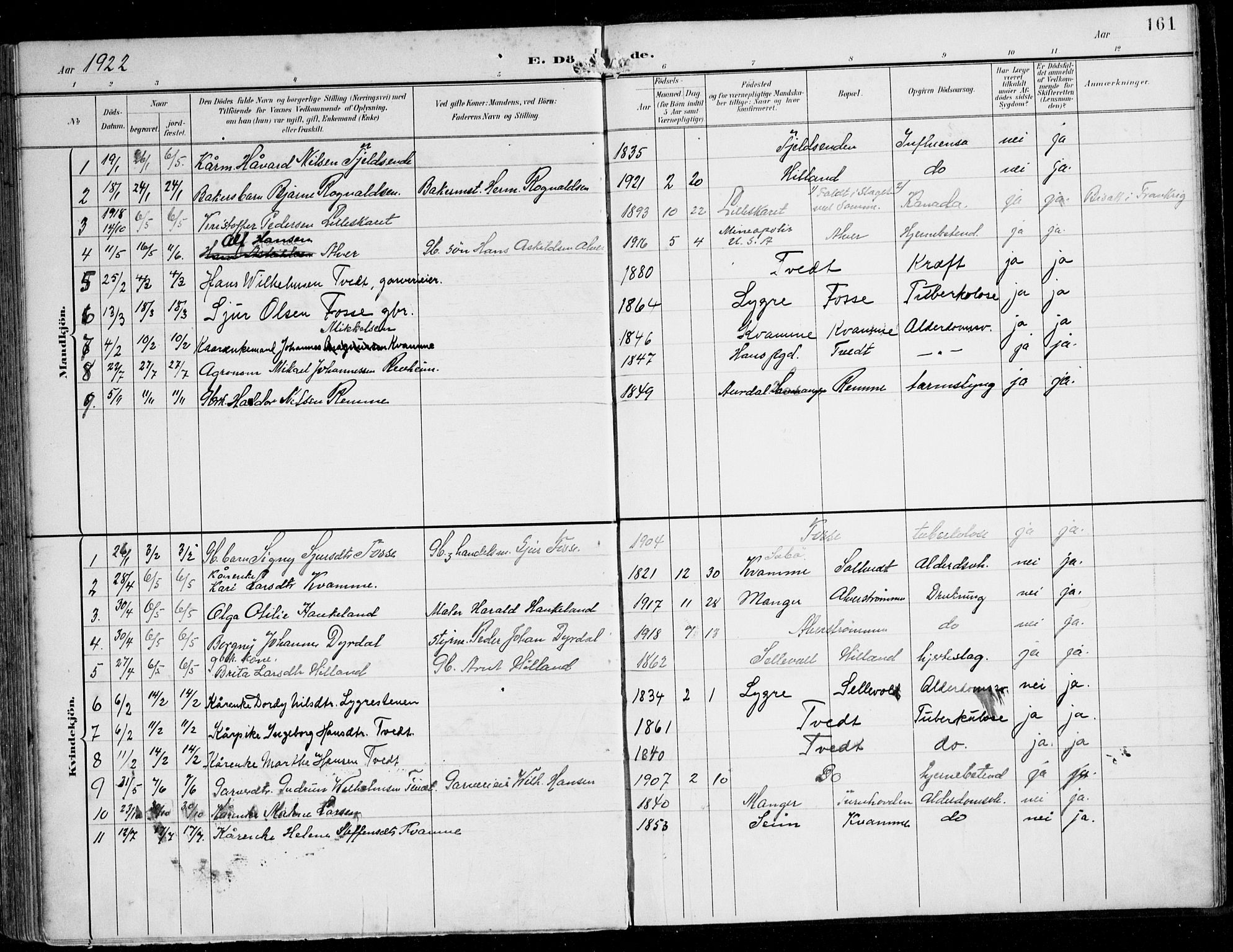 Alversund Sokneprestembete, SAB/A-73901/H/Ha/Haa/Haaa/L0003: Parish register (official) no. A 3, 1897-1926, p. 161