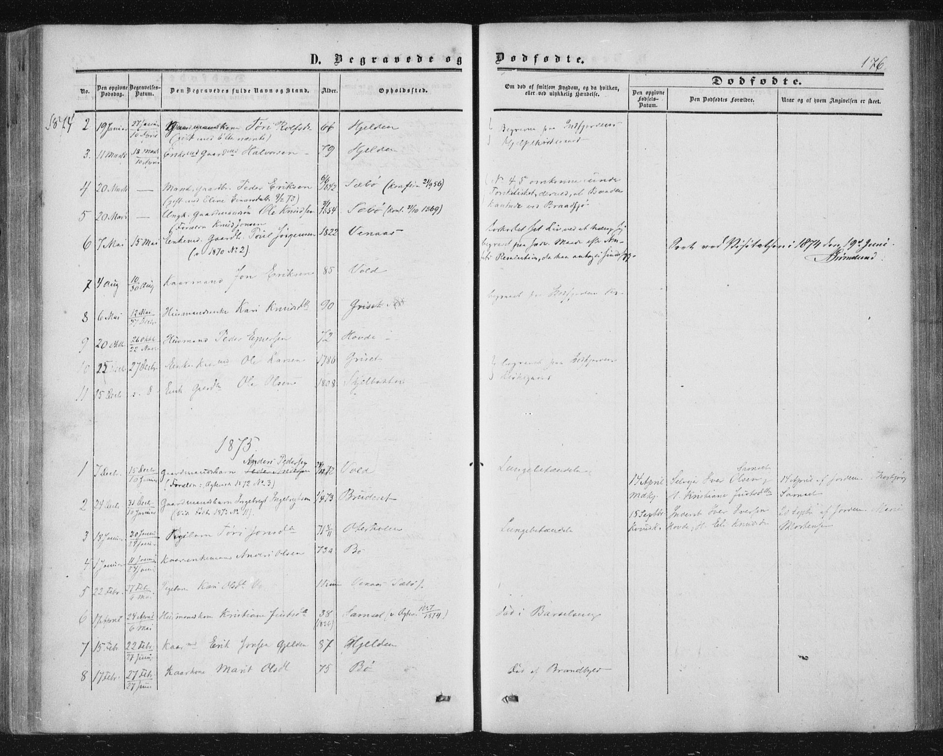 Ministerialprotokoller, klokkerbøker og fødselsregistre - Møre og Romsdal, AV/SAT-A-1454/543/L0562: Parish register (official) no. 543A02, 1854-1884, p. 176