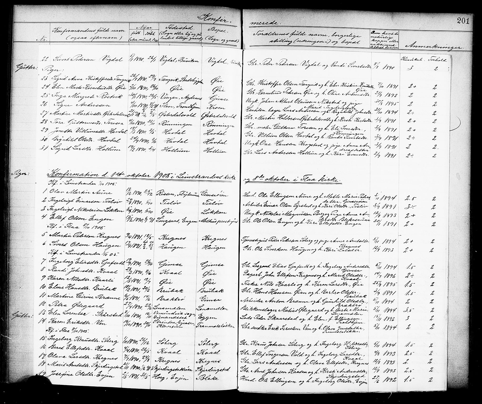 Ministerialprotokoller, klokkerbøker og fødselsregistre - Sør-Trøndelag, SAT/A-1456/691/L1094: Parish register (copy) no. 691C05, 1879-1911, p. 201c