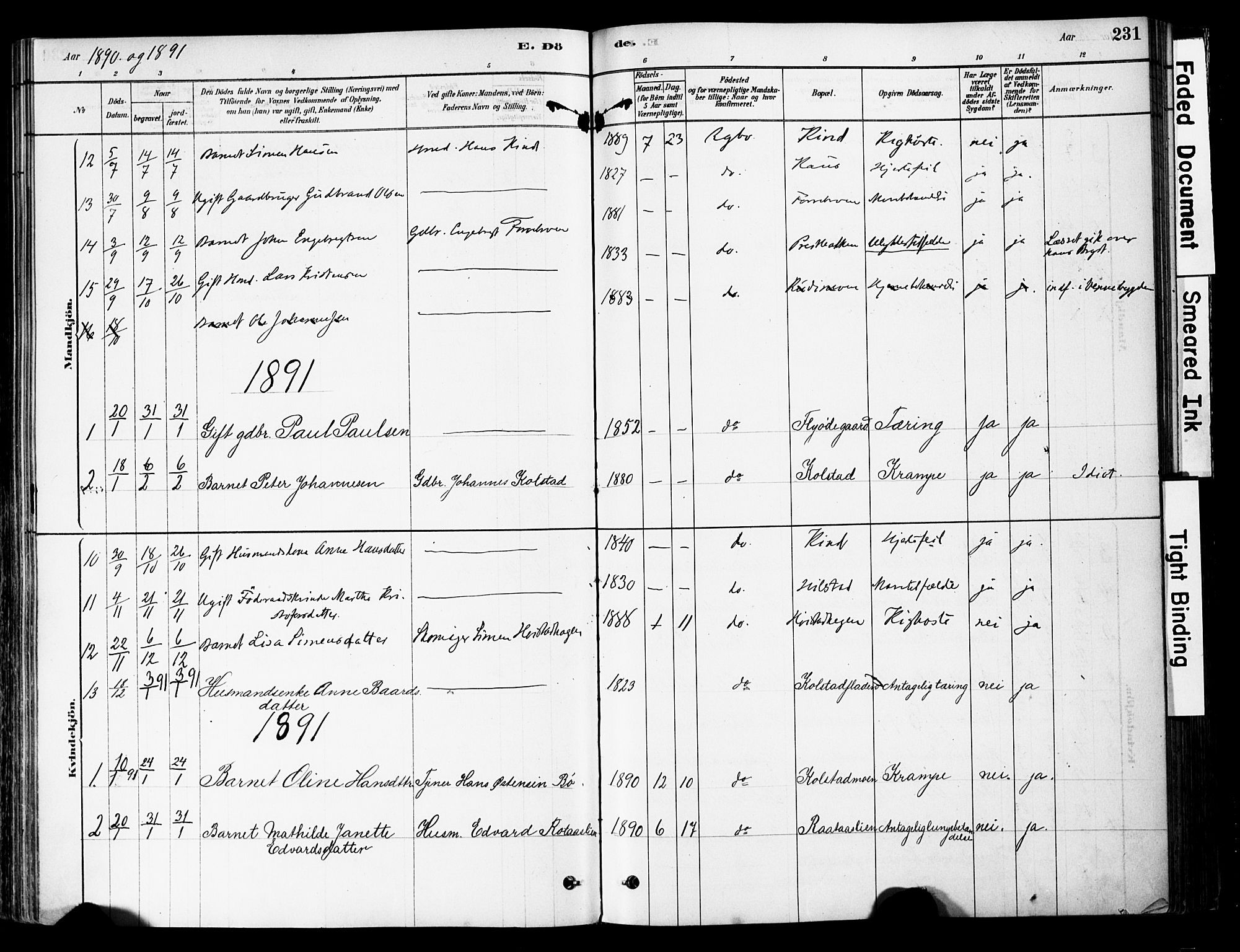 Ringebu prestekontor, SAH/PREST-082/H/Ha/Haa/L0008: Parish register (official) no. 8, 1878-1898, p. 231