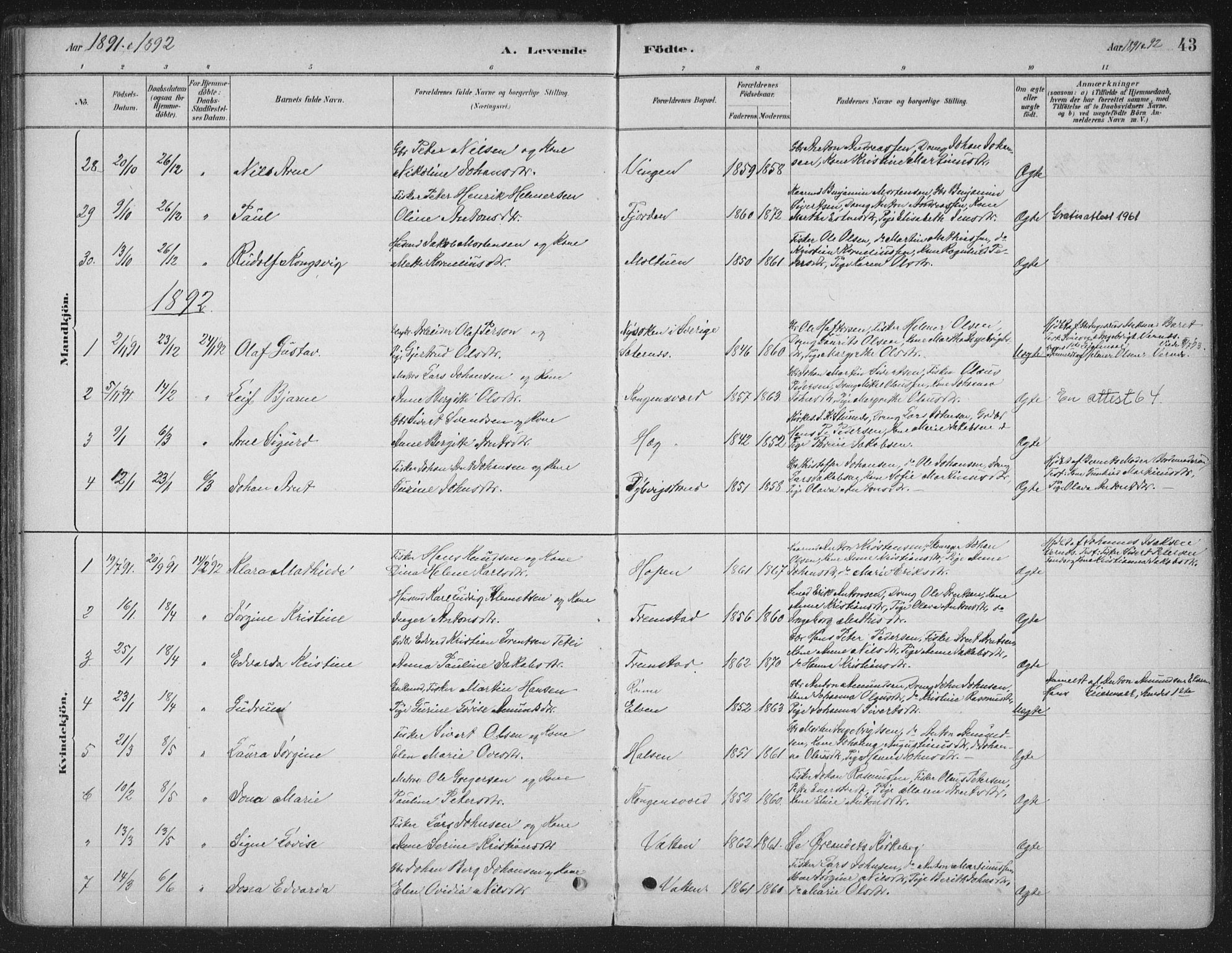 Ministerialprotokoller, klokkerbøker og fødselsregistre - Sør-Trøndelag, SAT/A-1456/662/L0755: Parish register (official) no. 662A01, 1879-1905, p. 43