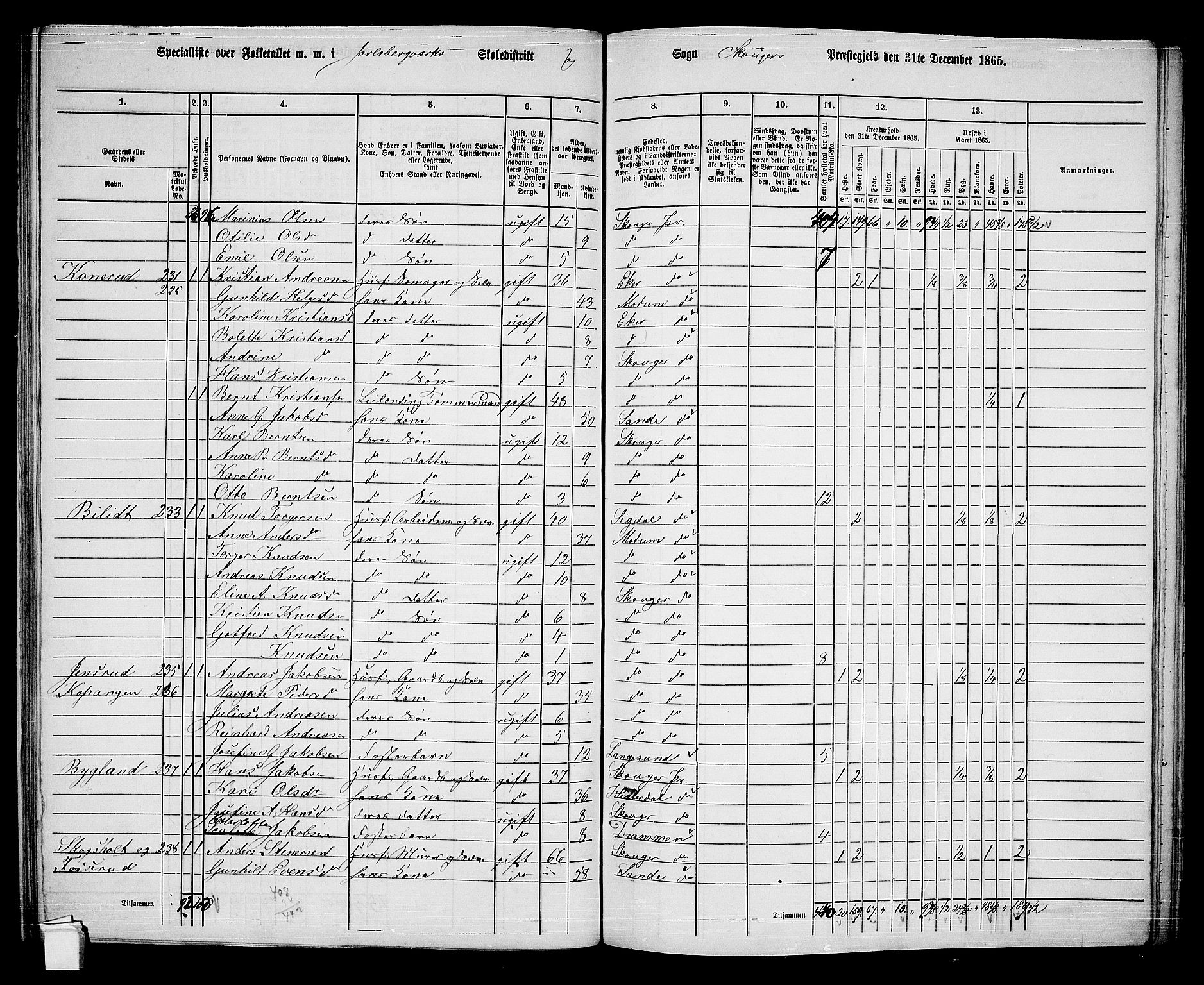 RA, 1865 census for Skoger, 1865, p. 109