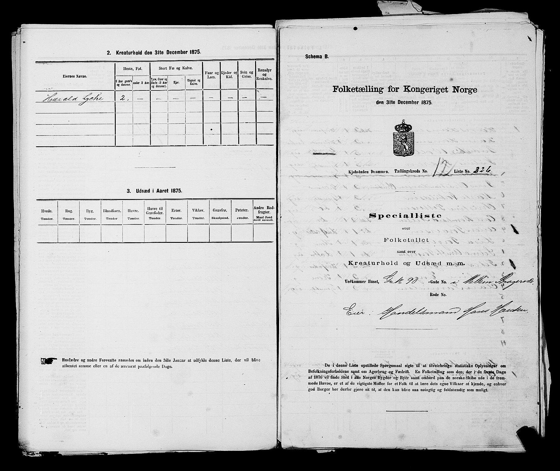 SAKO, 1875 census for 0602 Drammen, 1875, p. 1317