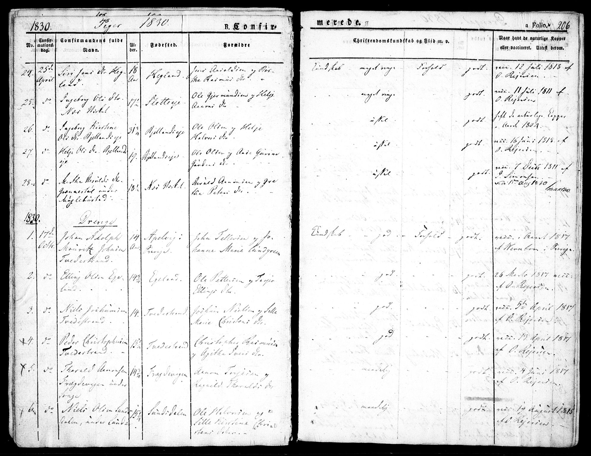 Holt sokneprestkontor, AV/SAK-1111-0021/F/Fa/L0006: Parish register (official) no. A 6, 1820-1835, p. 206