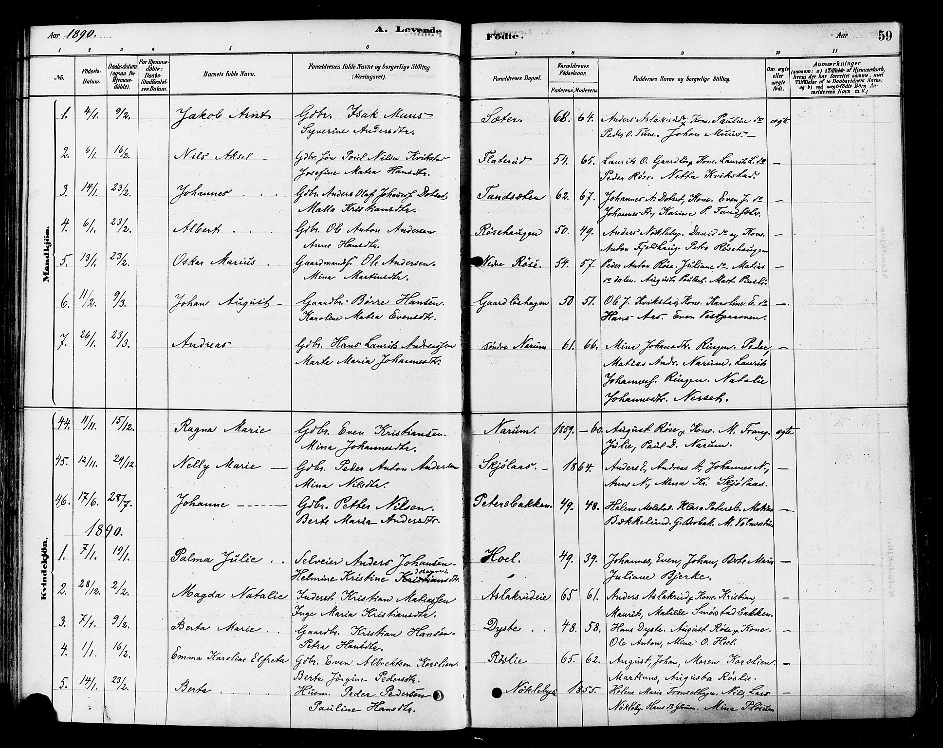 Vestre Toten prestekontor, SAH/PREST-108/H/Ha/Haa/L0010: Parish register (official) no. 10, 1878-1894, p. 59