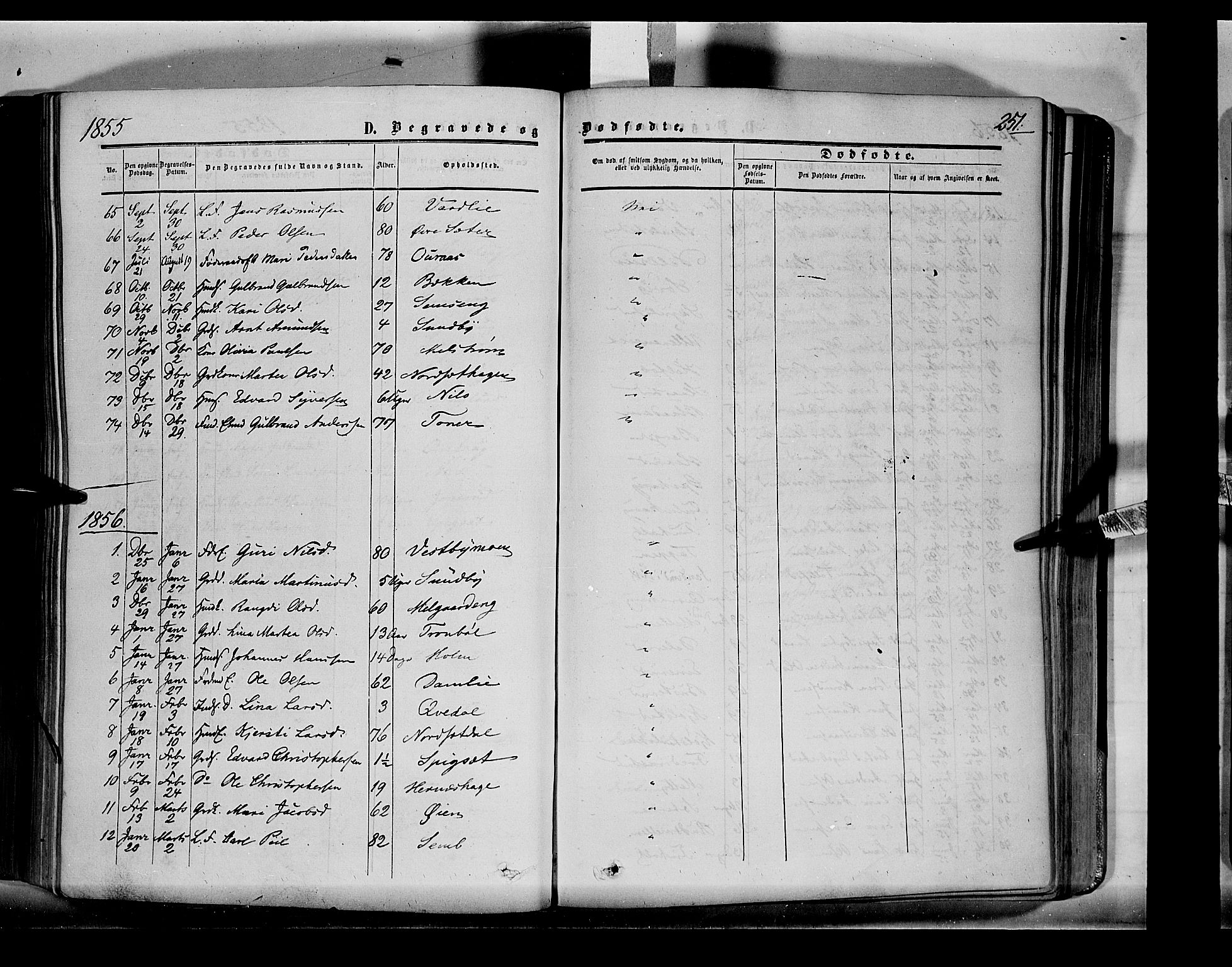 Sør-Odal prestekontor, AV/SAH-PREST-030/H/Ha/Haa/L0001: Parish register (official) no. 1, 1849-1859, p. 251