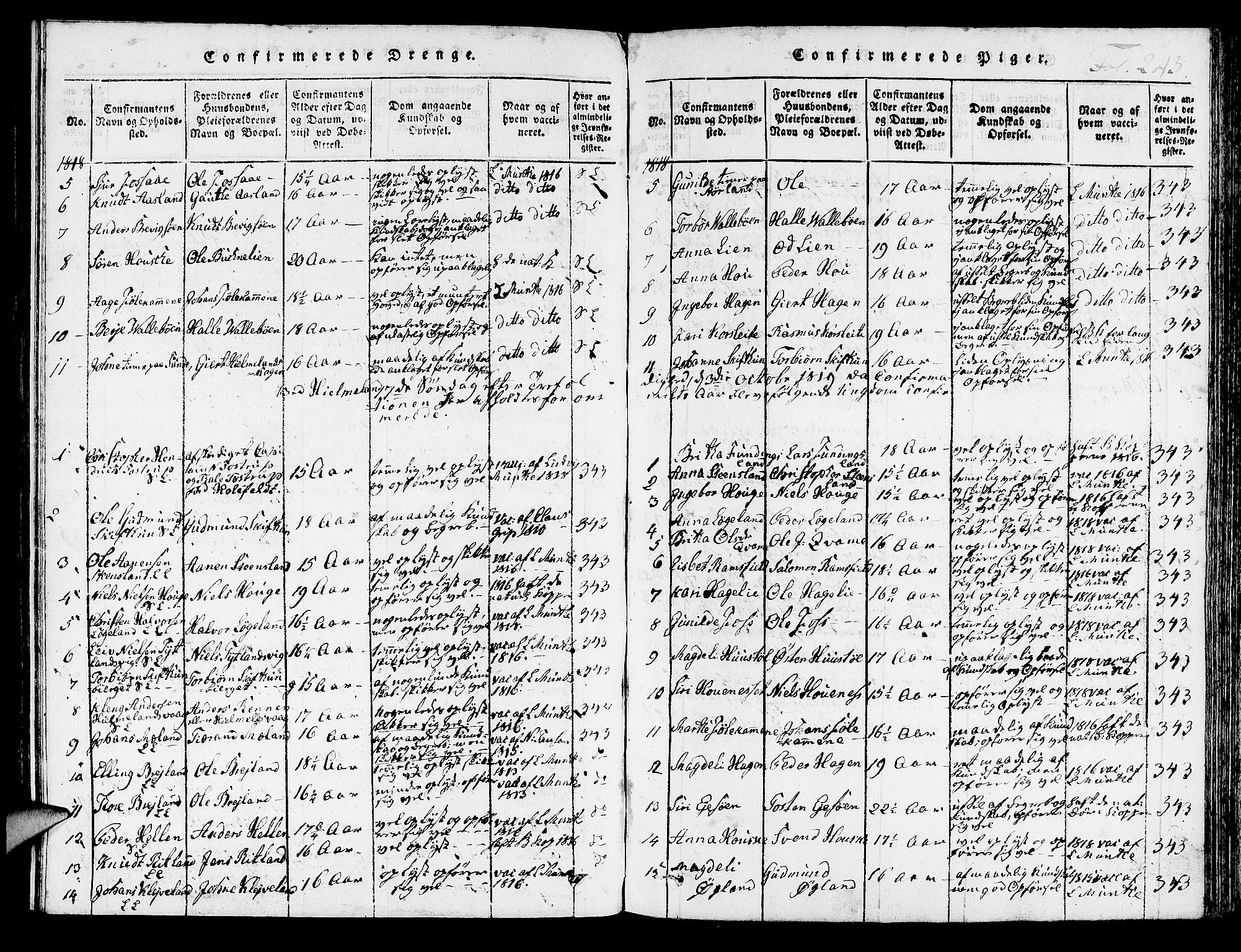 Hjelmeland sokneprestkontor, SAST/A-101843/01/IV/L0003: Parish register (official) no. A 3, 1816-1834, p. 243