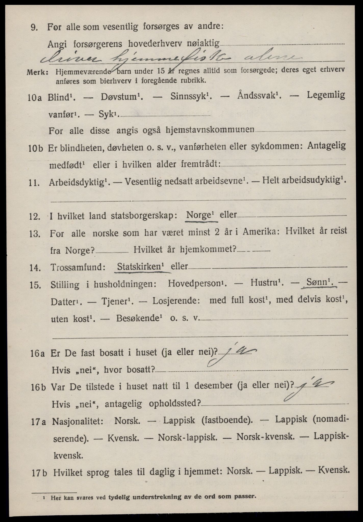 SAT, 1920 census for Heim, 1920, p. 1890