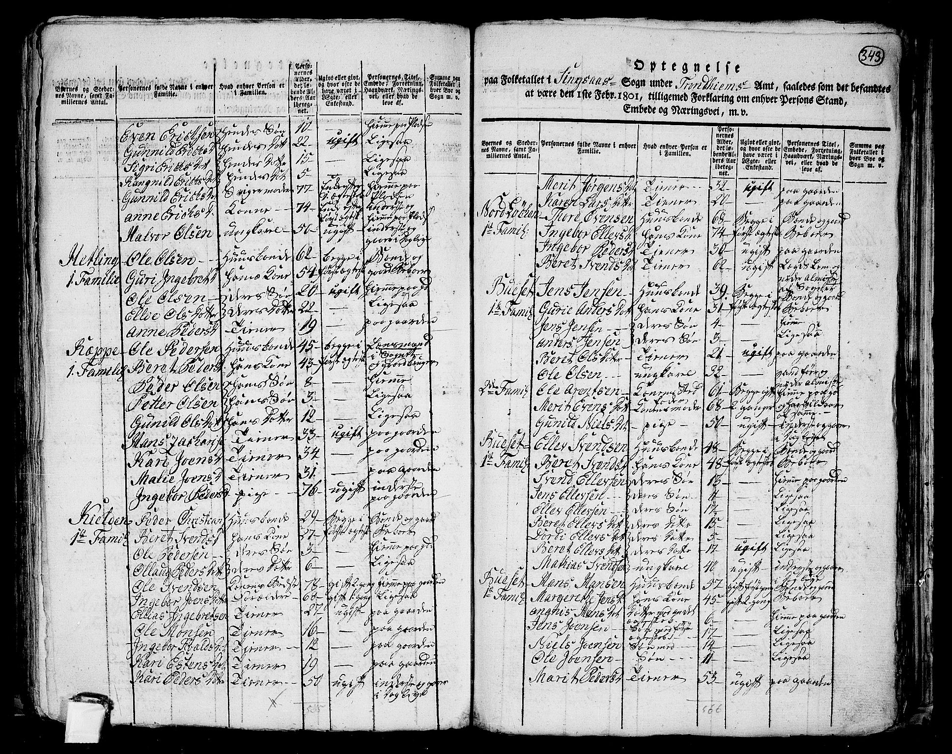 RA, 1801 census for 1645P Haltdalen, 1801, p. 342b-343a